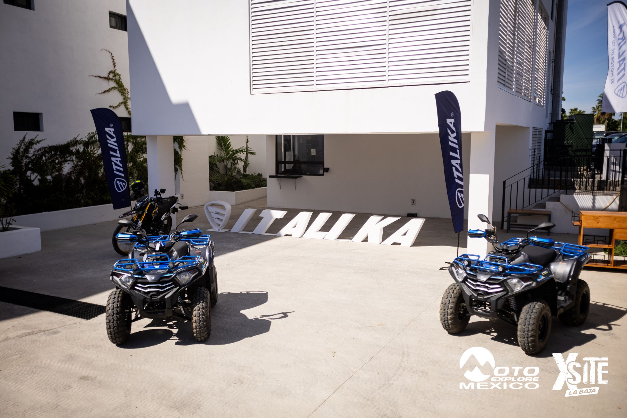 ITALIKA LA NAJA D1 165