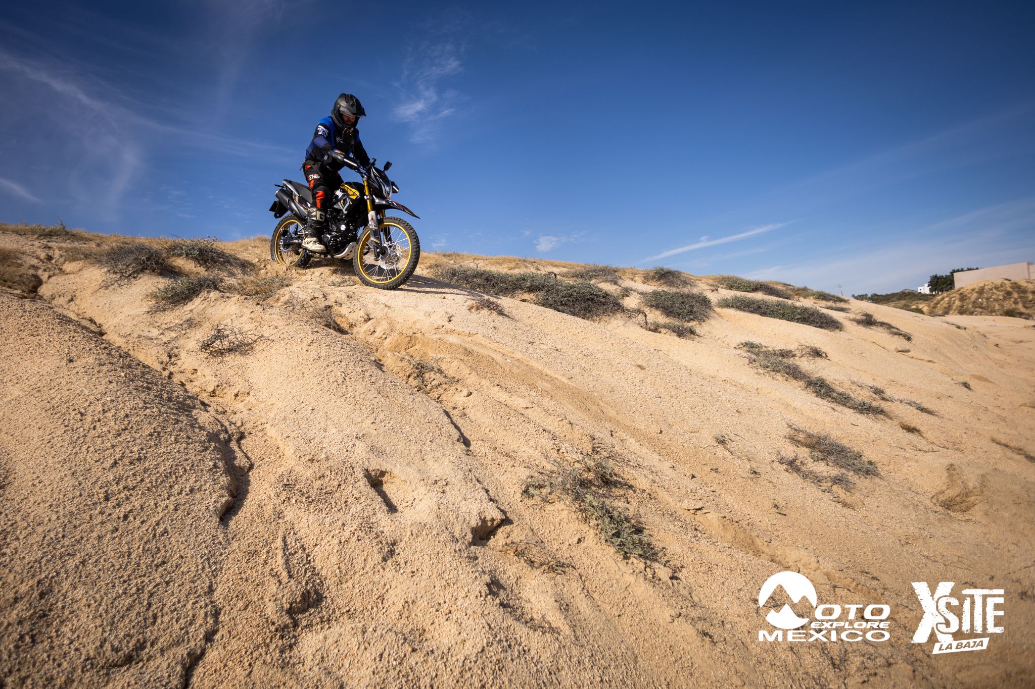 ITALIKA LA NAJA D1 365