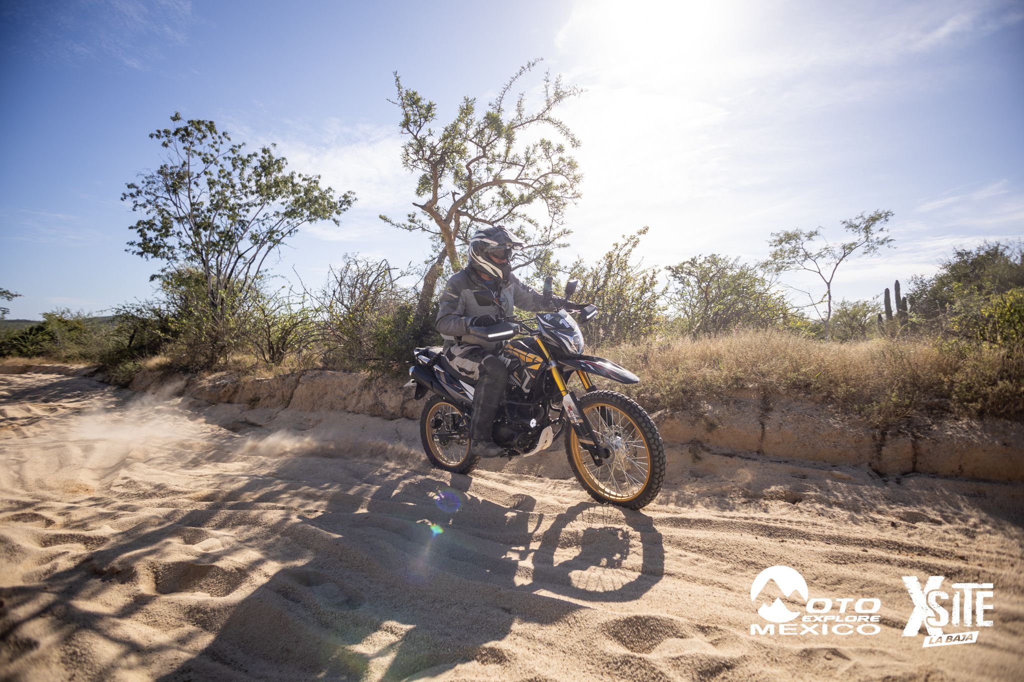 ITALIKA LA NAJA D1 403