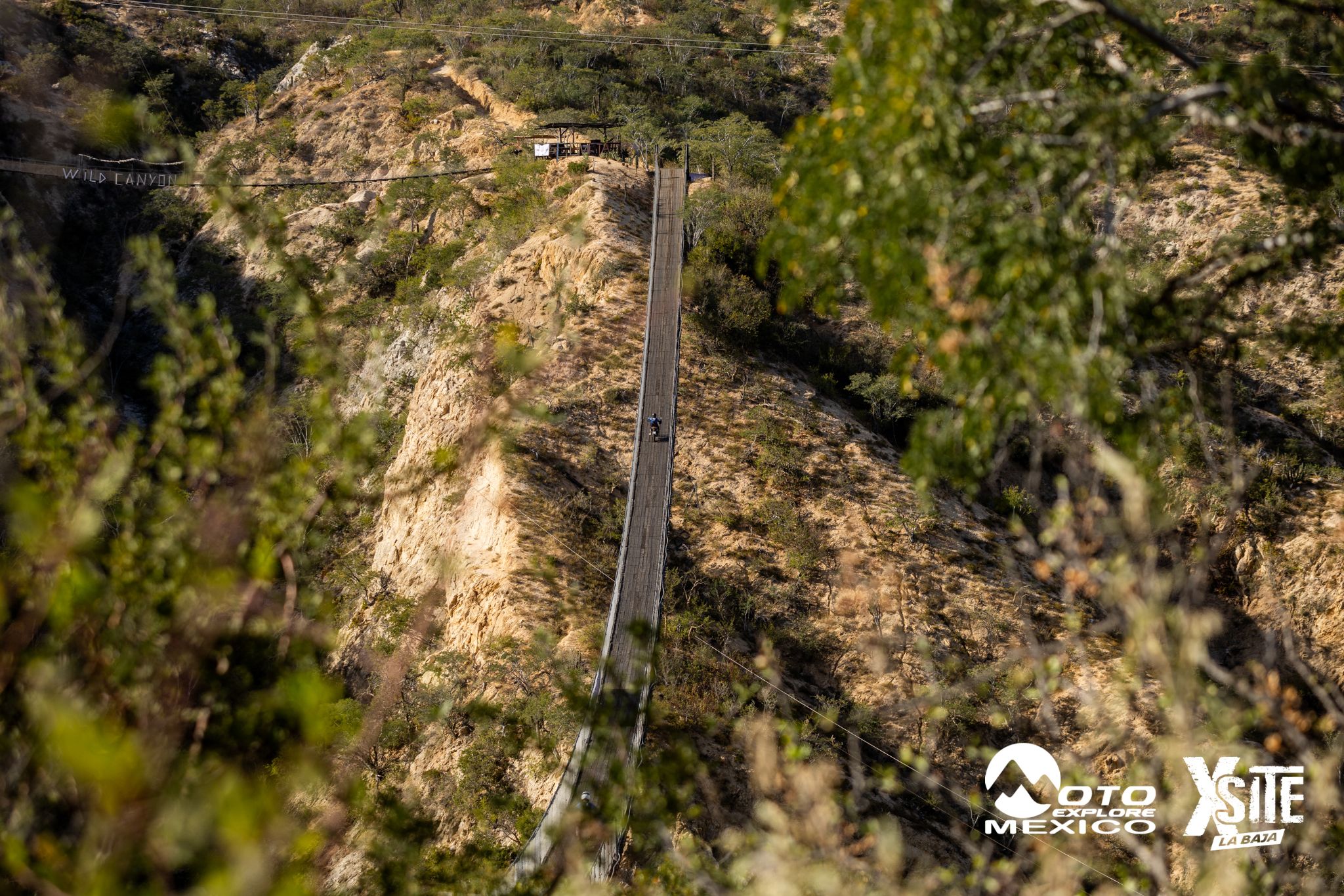 ITALIKA LA NAJA D1 436