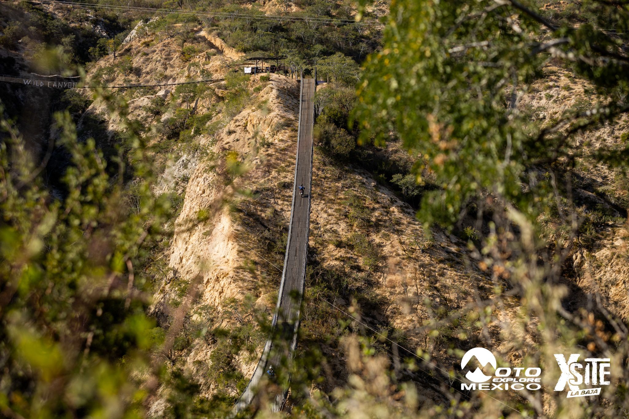 ITALIKA LA NAJA D1 437