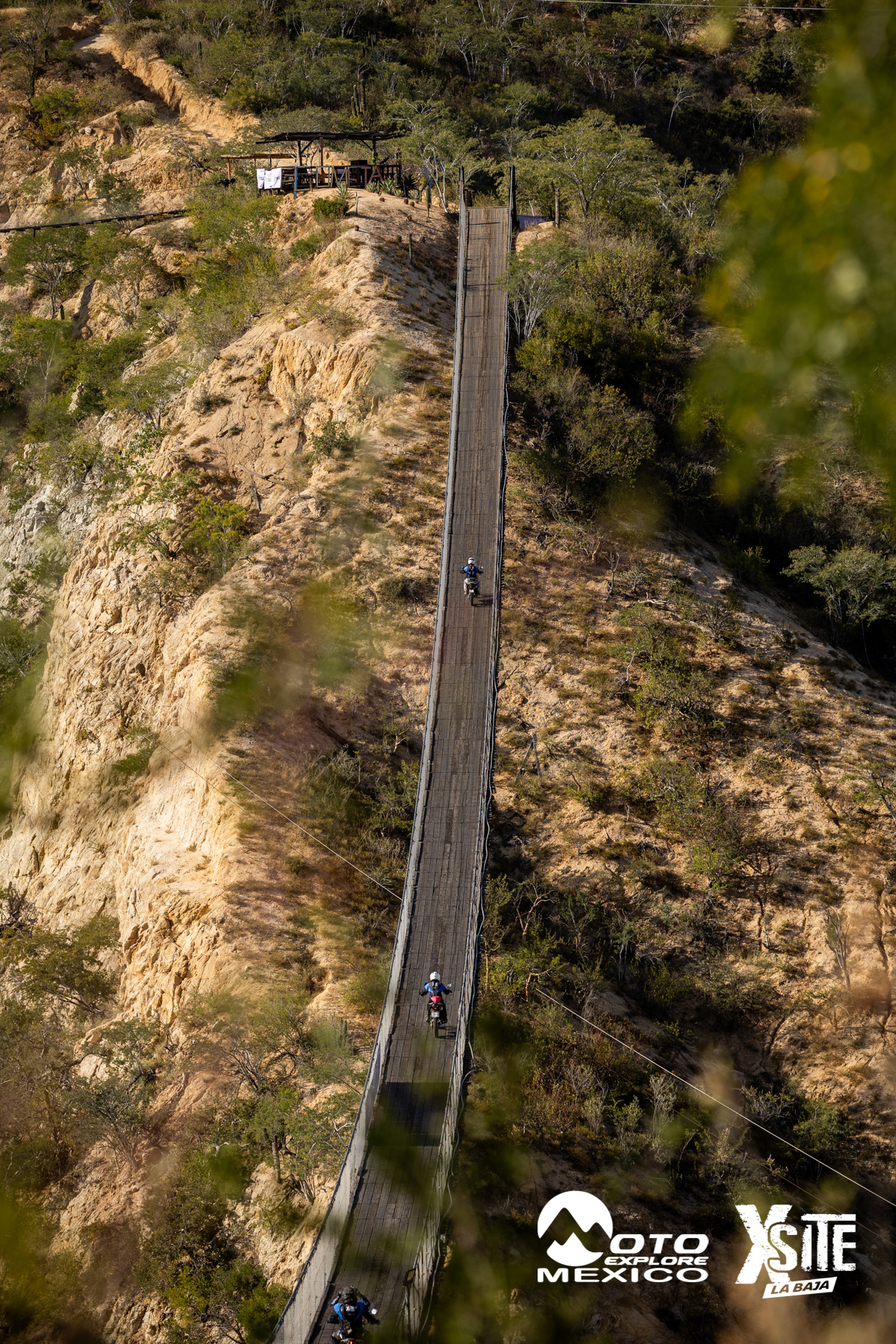 ITALIKA LA NAJA D1 440