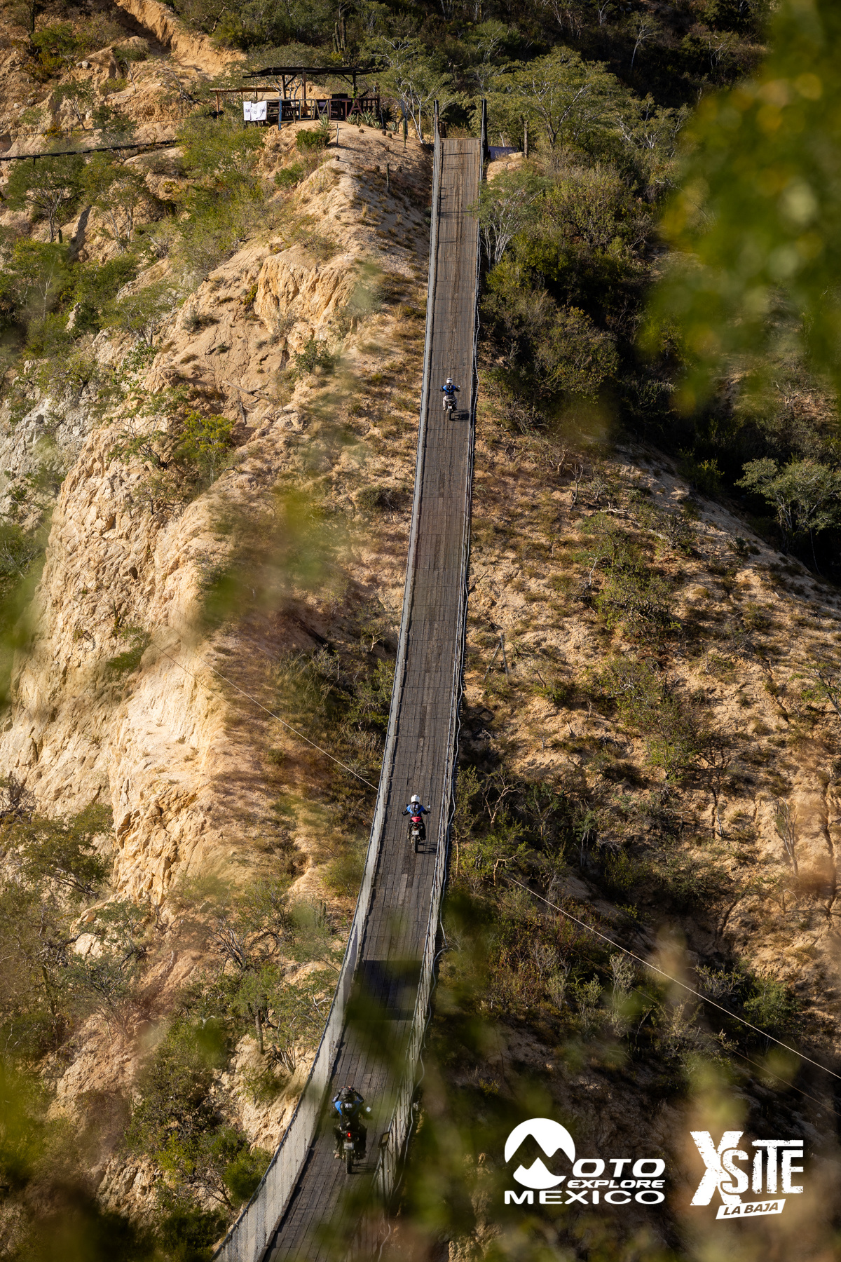 ITALIKA LA NAJA D1 441