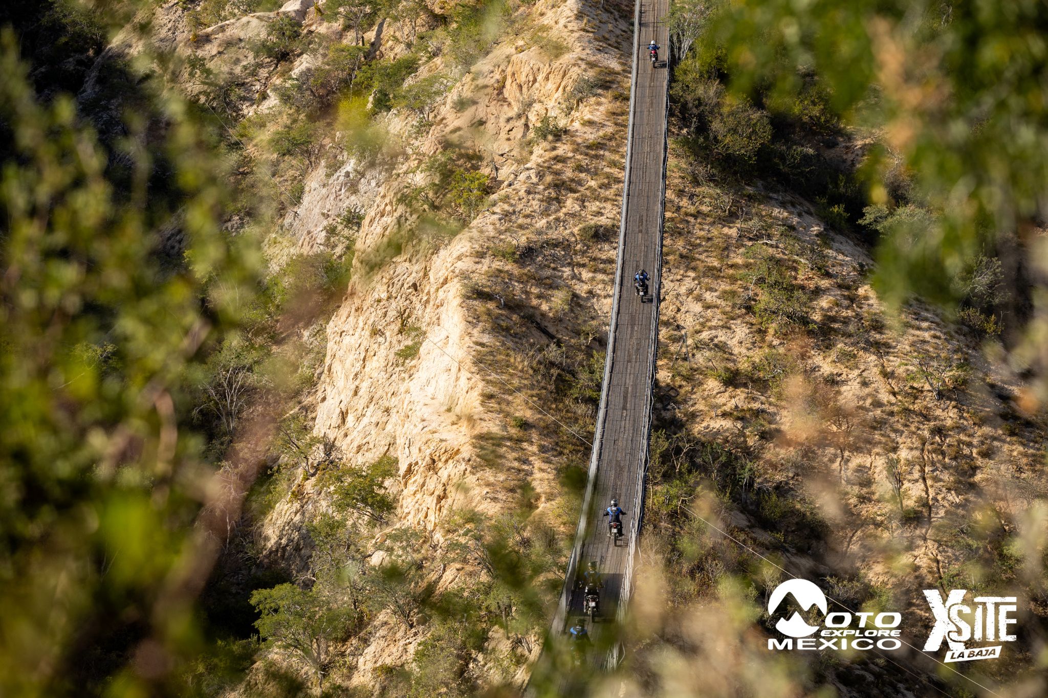 ITALIKA LA NAJA D1 445