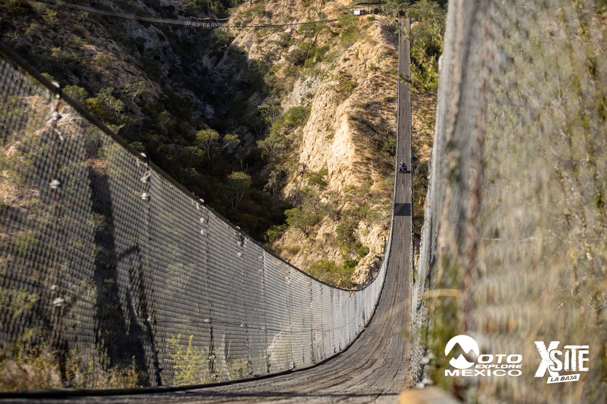 ITALIKA LA NAJA D1 447