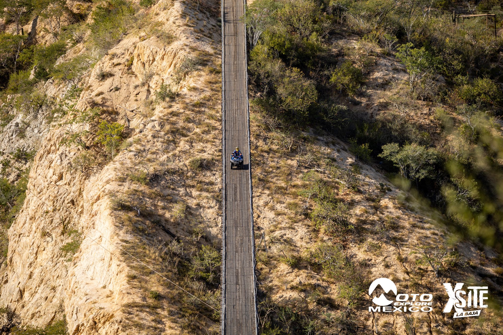 ITALIKA LA NAJA D1 450