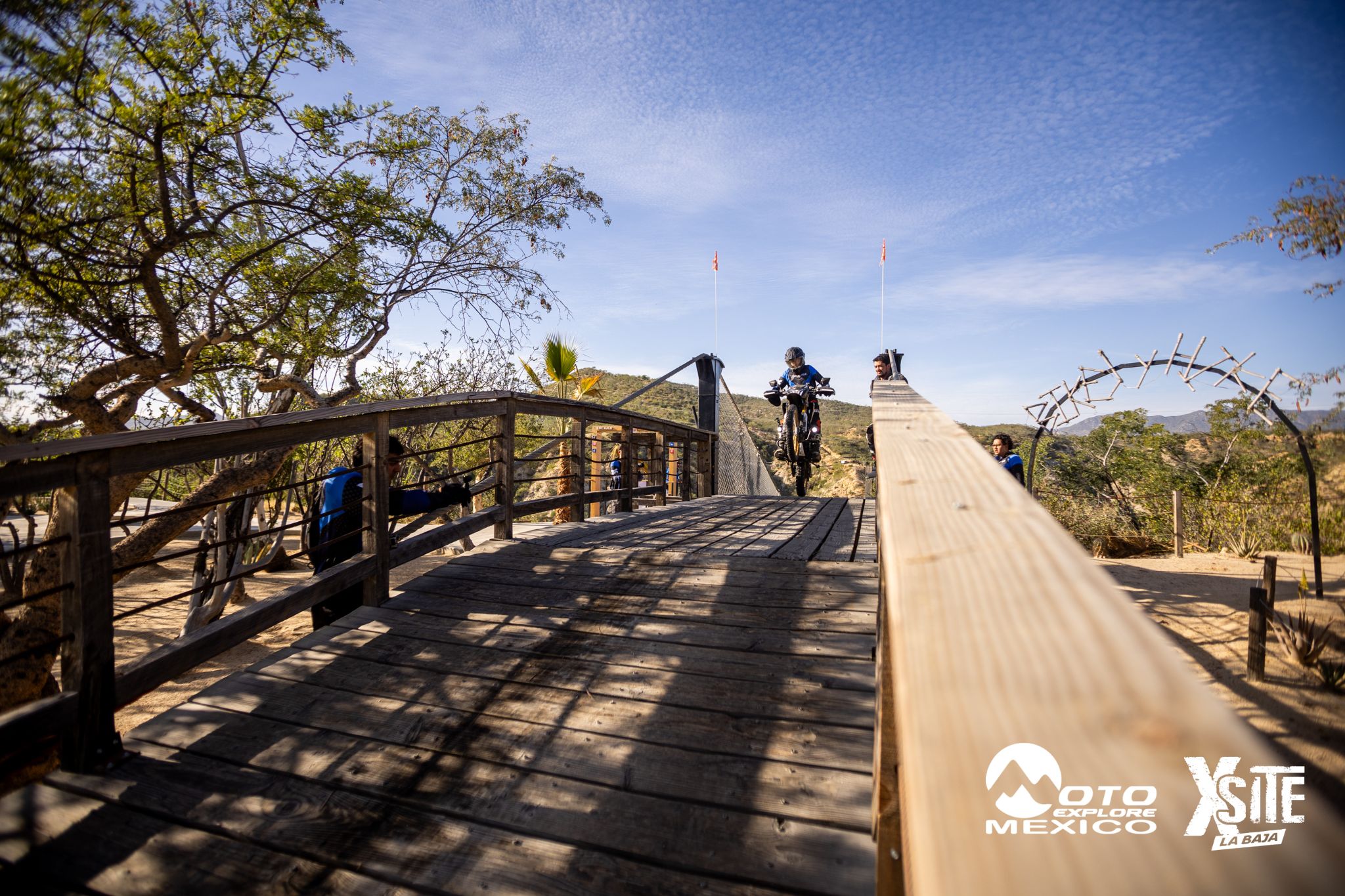 ITALIKA LA NAJA D1 469