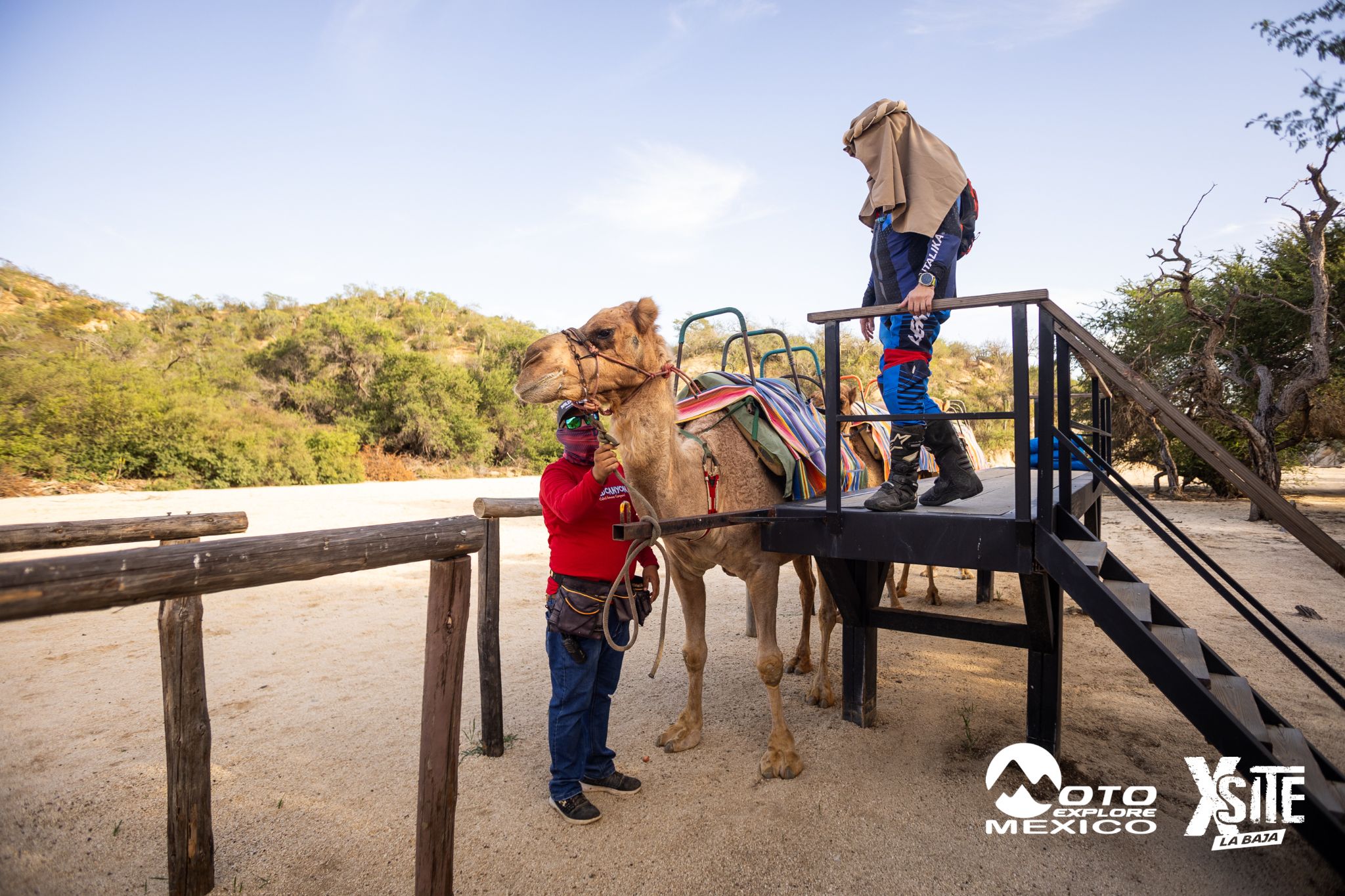 ITALIKA LA NAJA D1 510