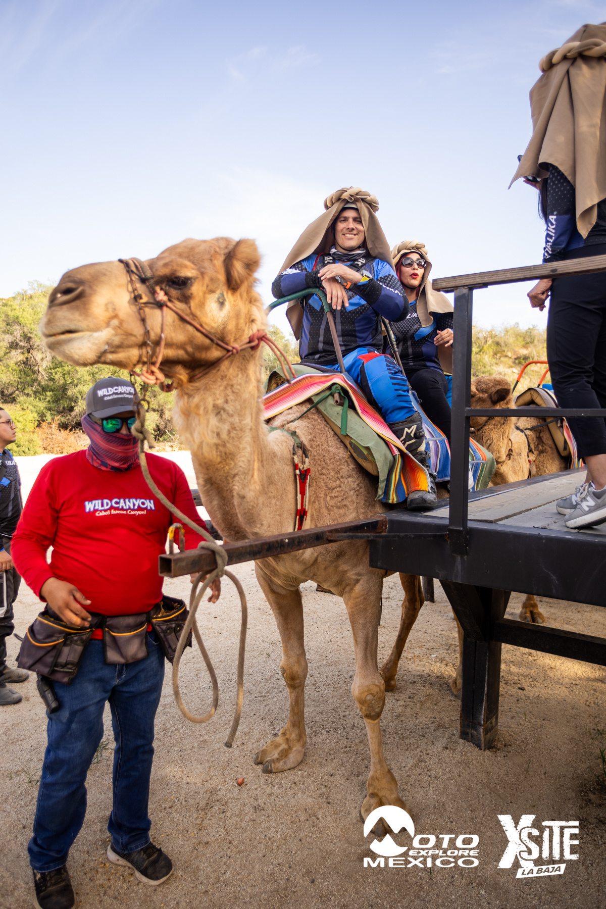 ITALIKA LA NAJA D1 520