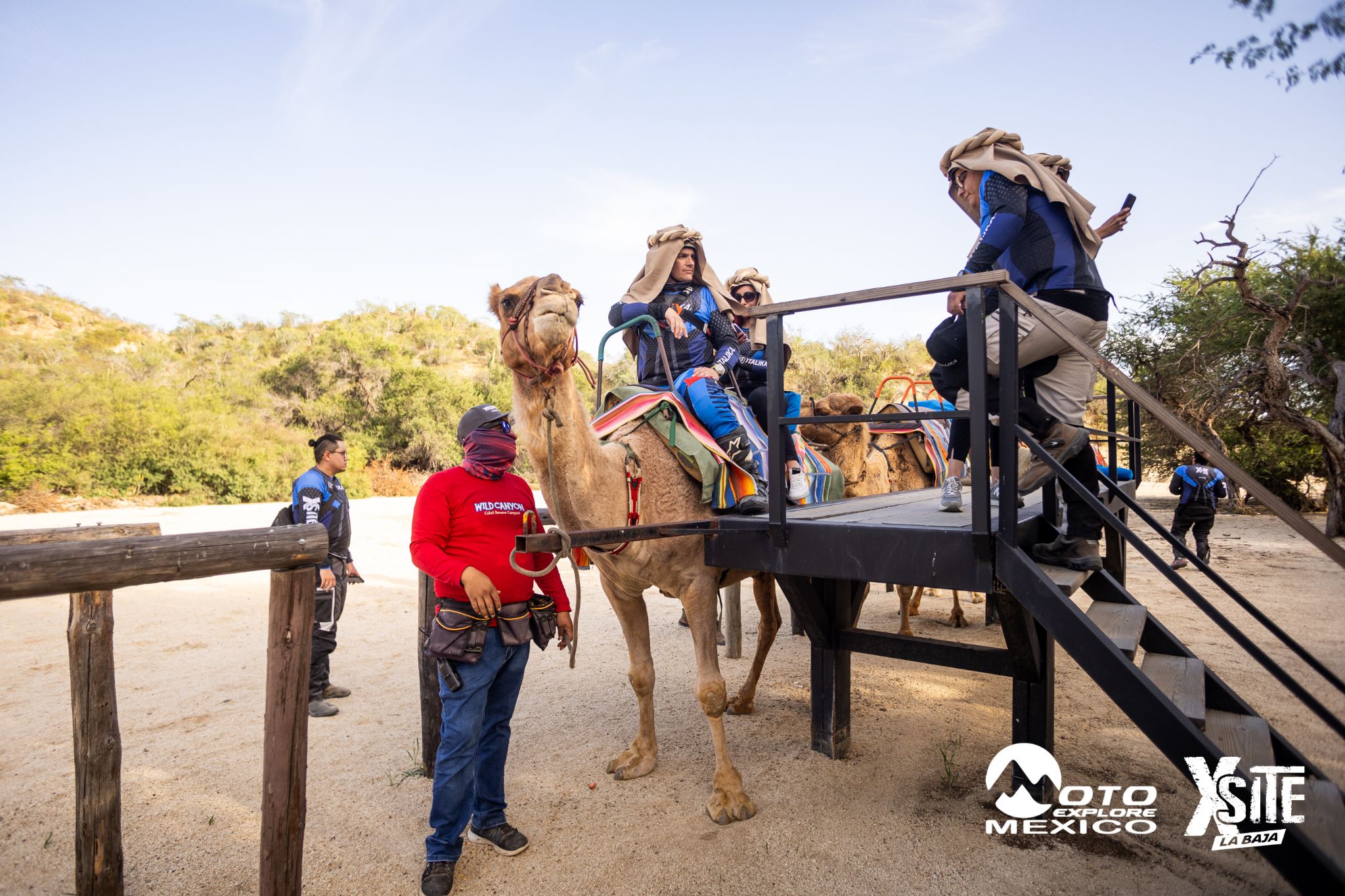 ITALIKA LA NAJA D1 521