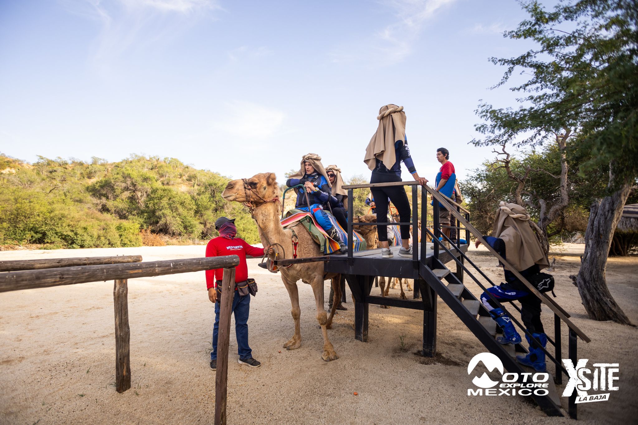 ITALIKA LA NAJA D1 522