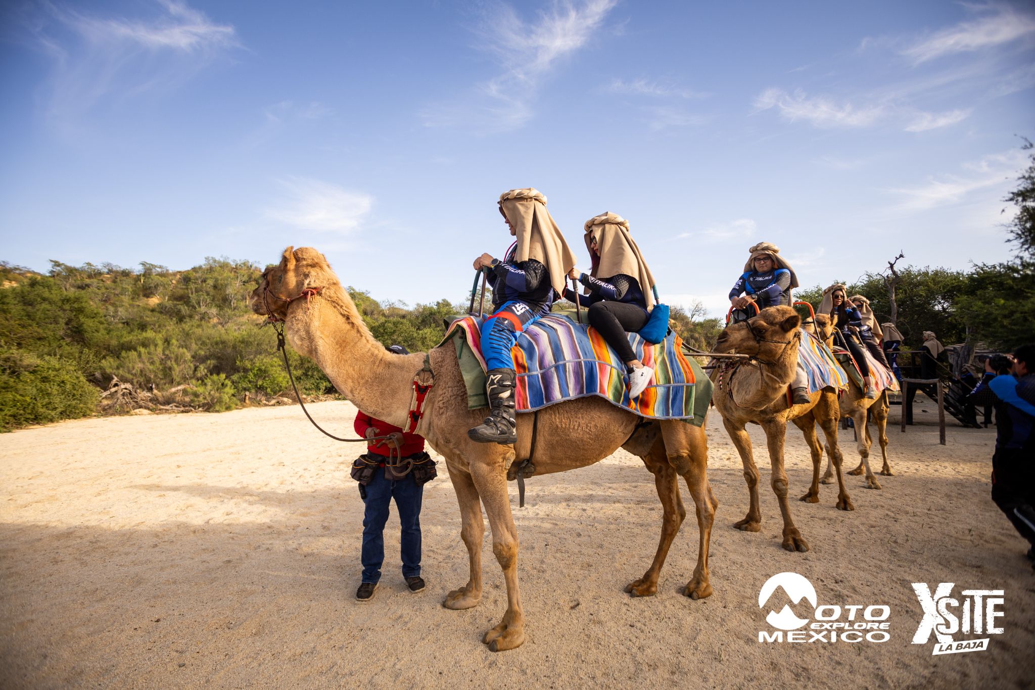 ITALIKA LA NAJA D1 524