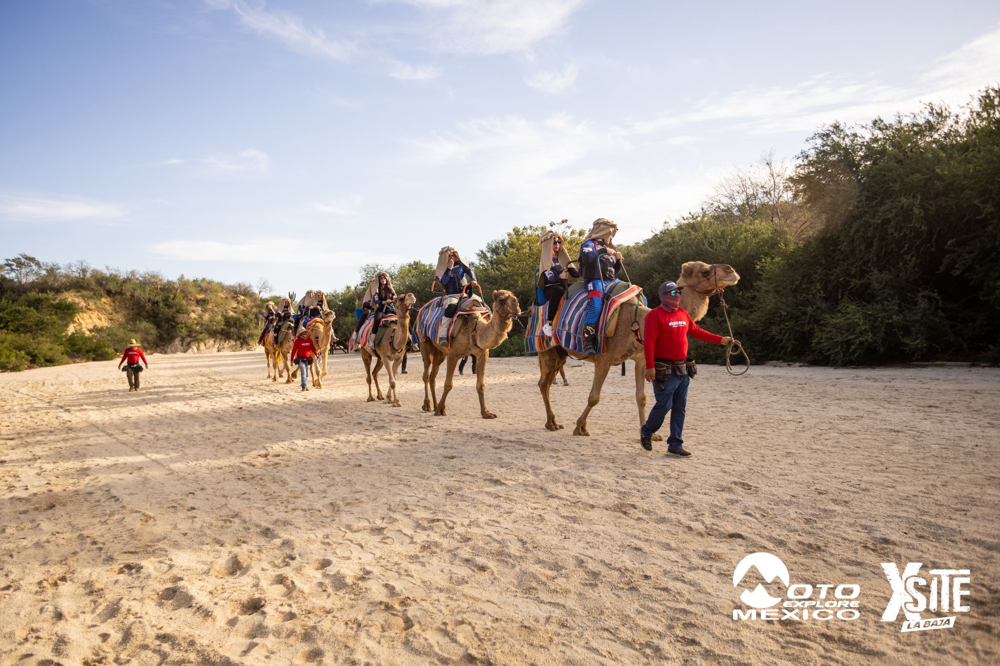 ITALIKA LA NAJA D1 537