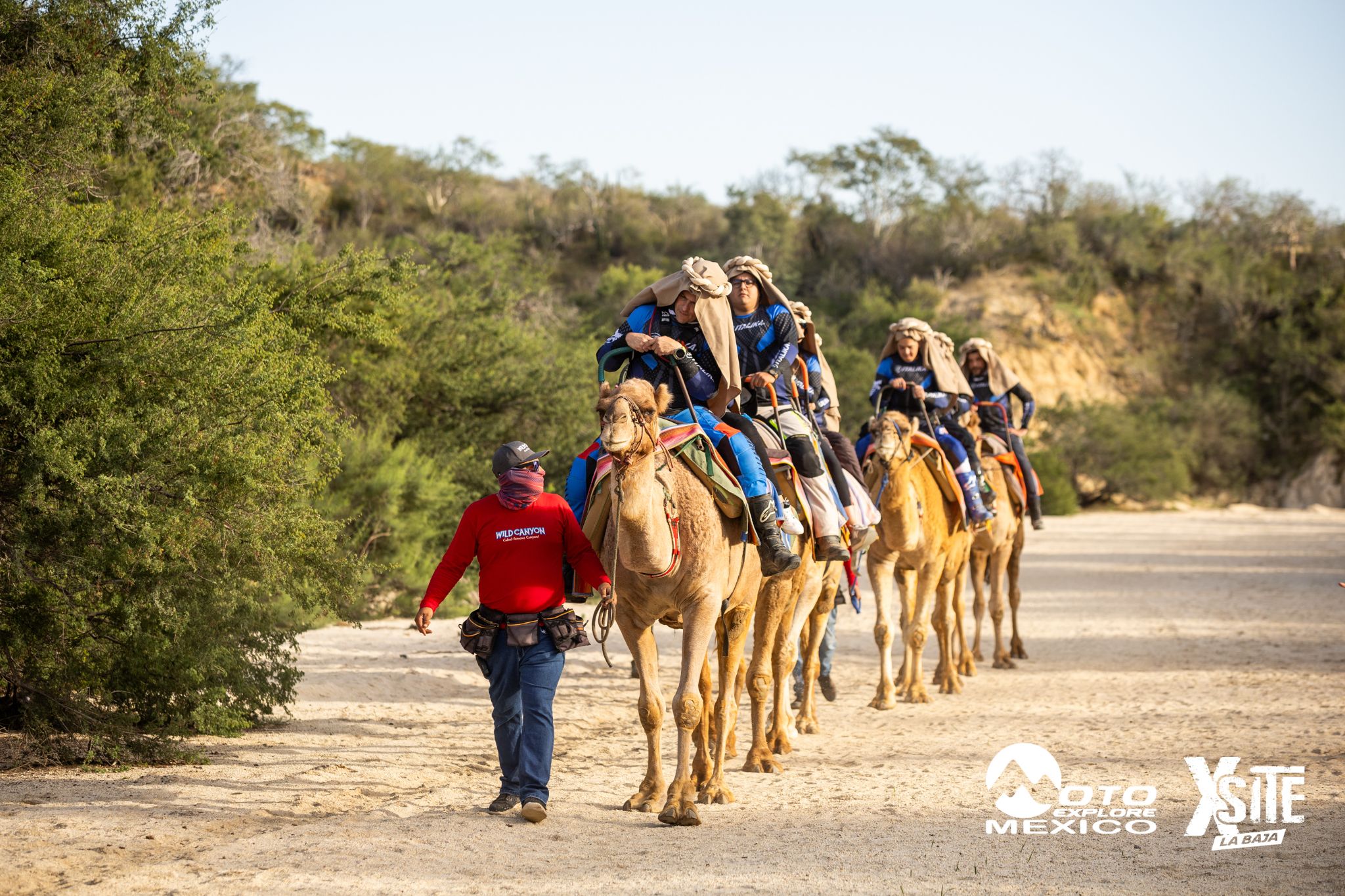 ITALIKA LA NAJA D1 538