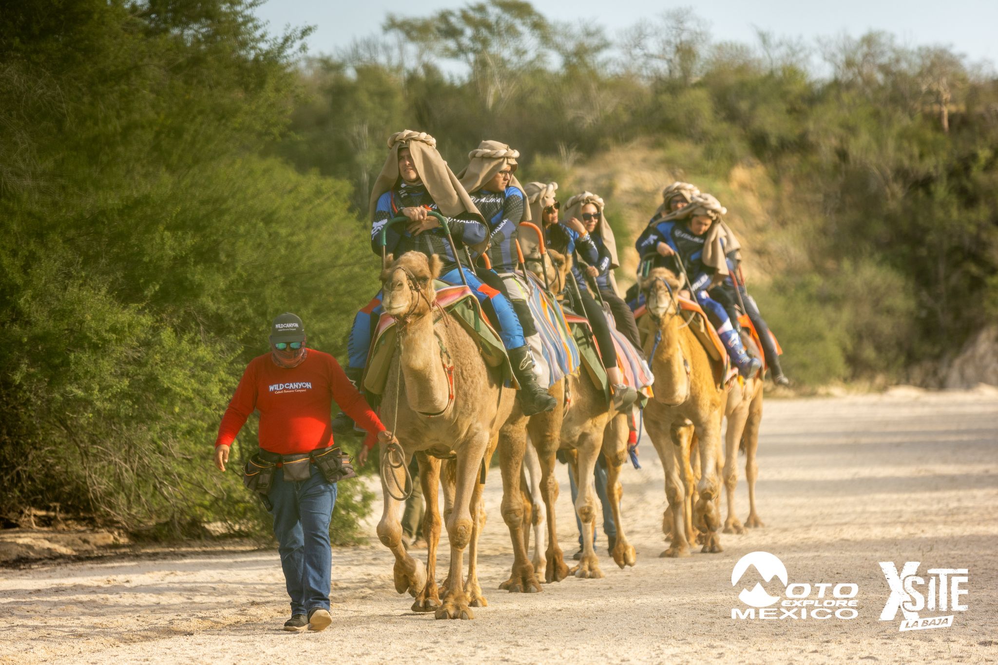 ITALIKA LA NAJA D1 539