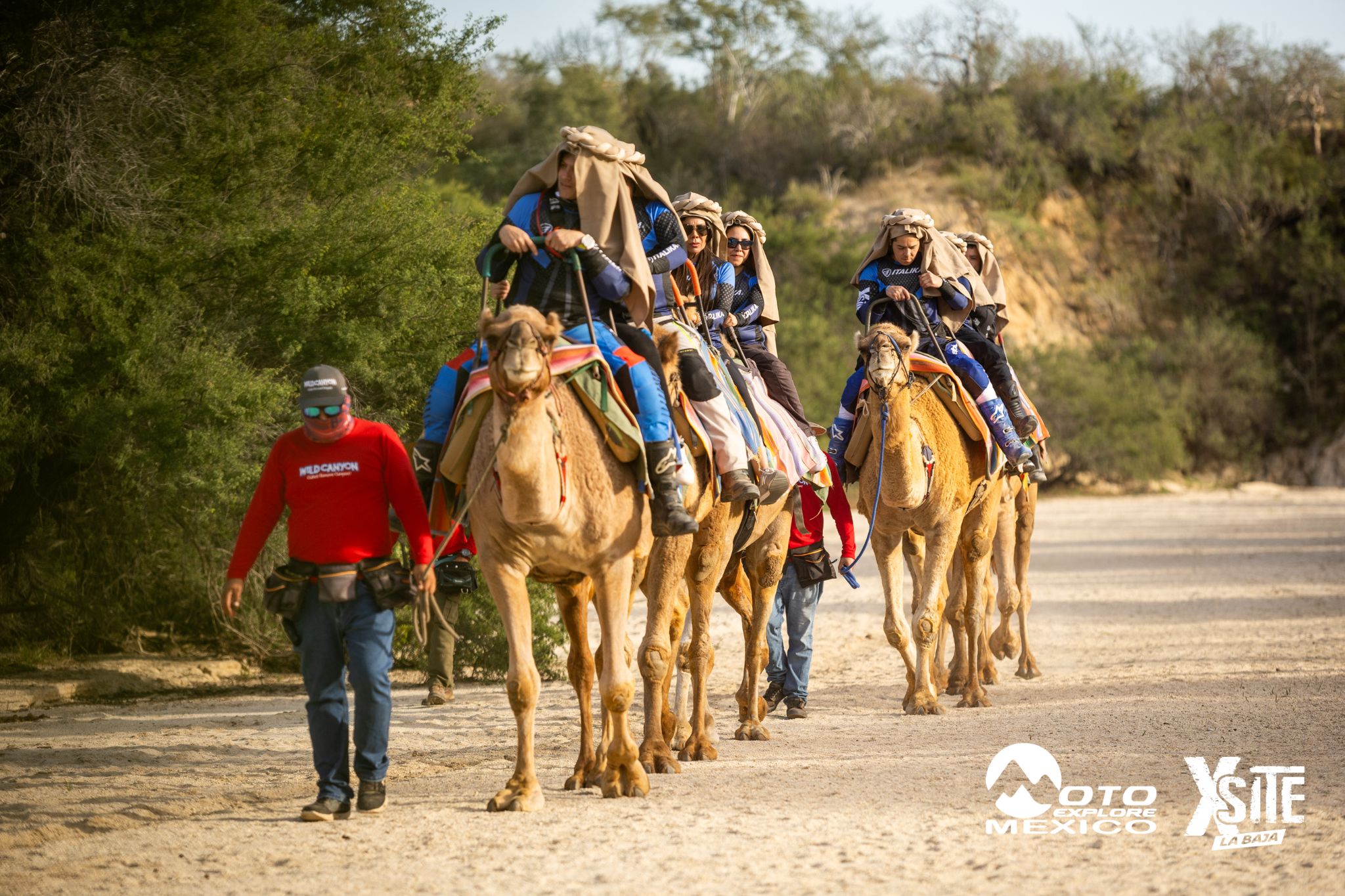 ITALIKA LA NAJA D1 540