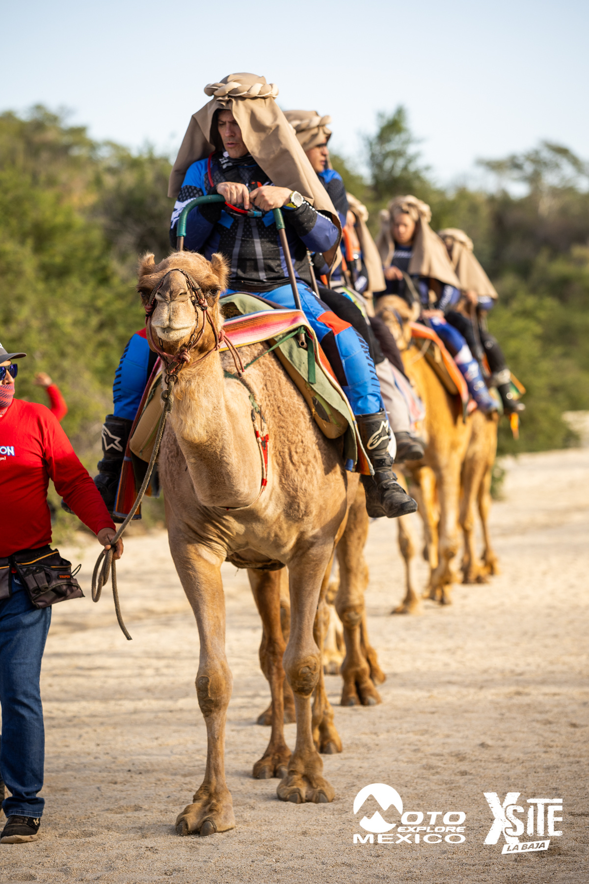 ITALIKA LA NAJA D1 543