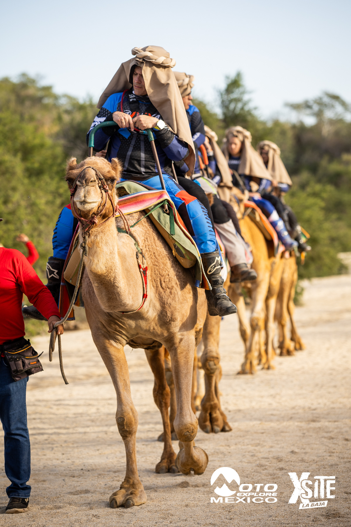 ITALIKA LA NAJA D1 544