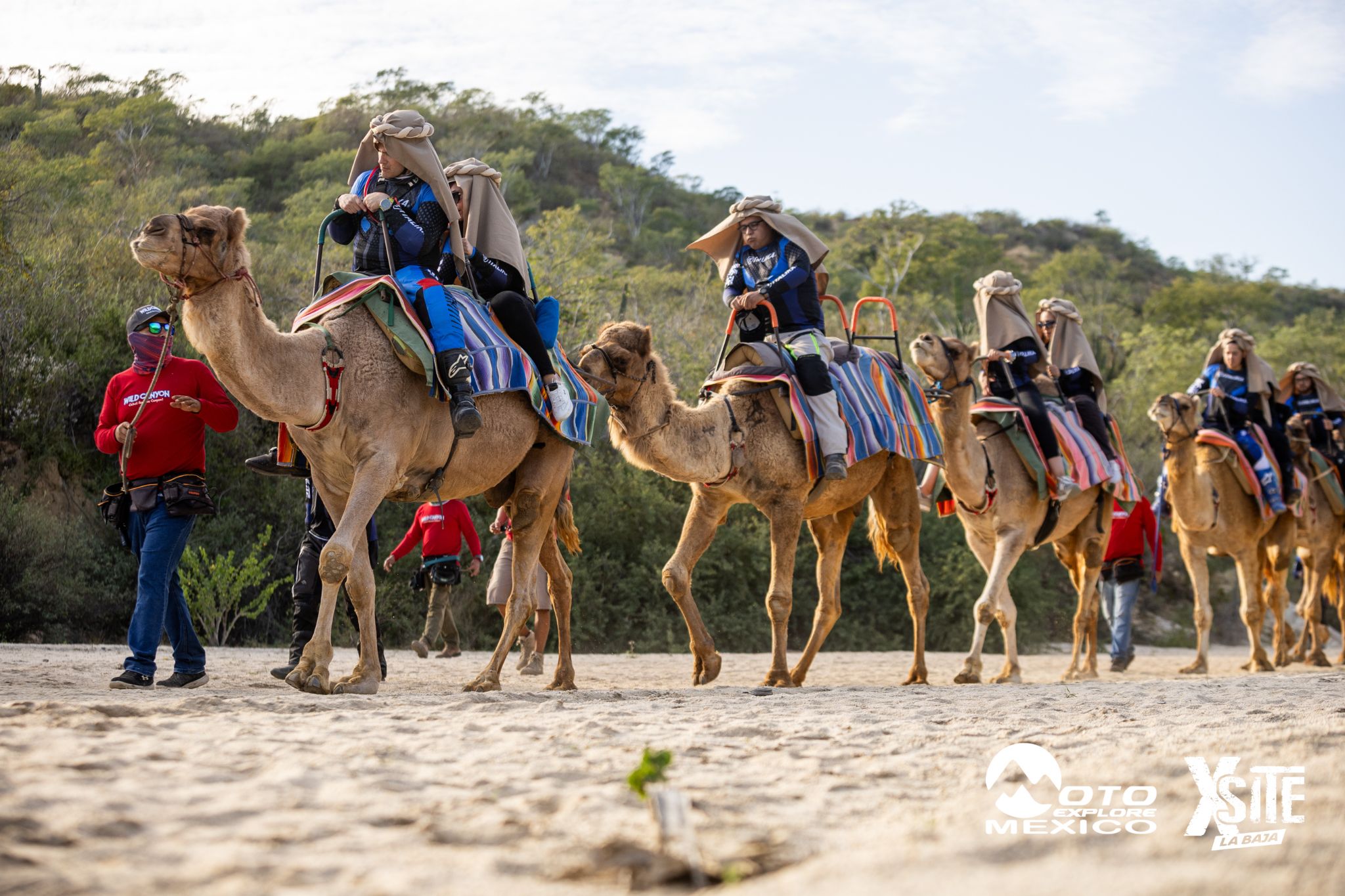 ITALIKA LA NAJA D1 557