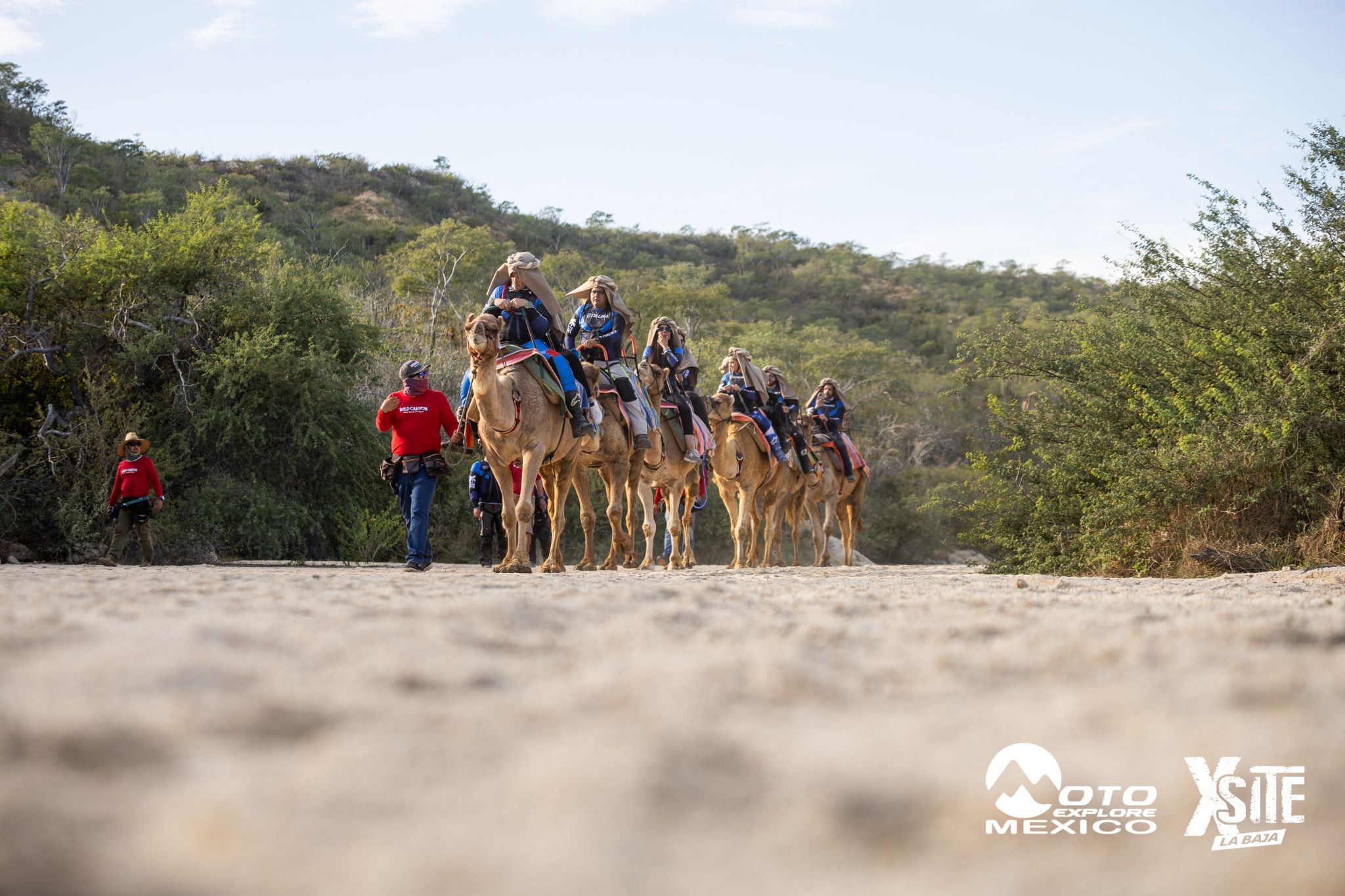 ITALIKA LA NAJA D1 559