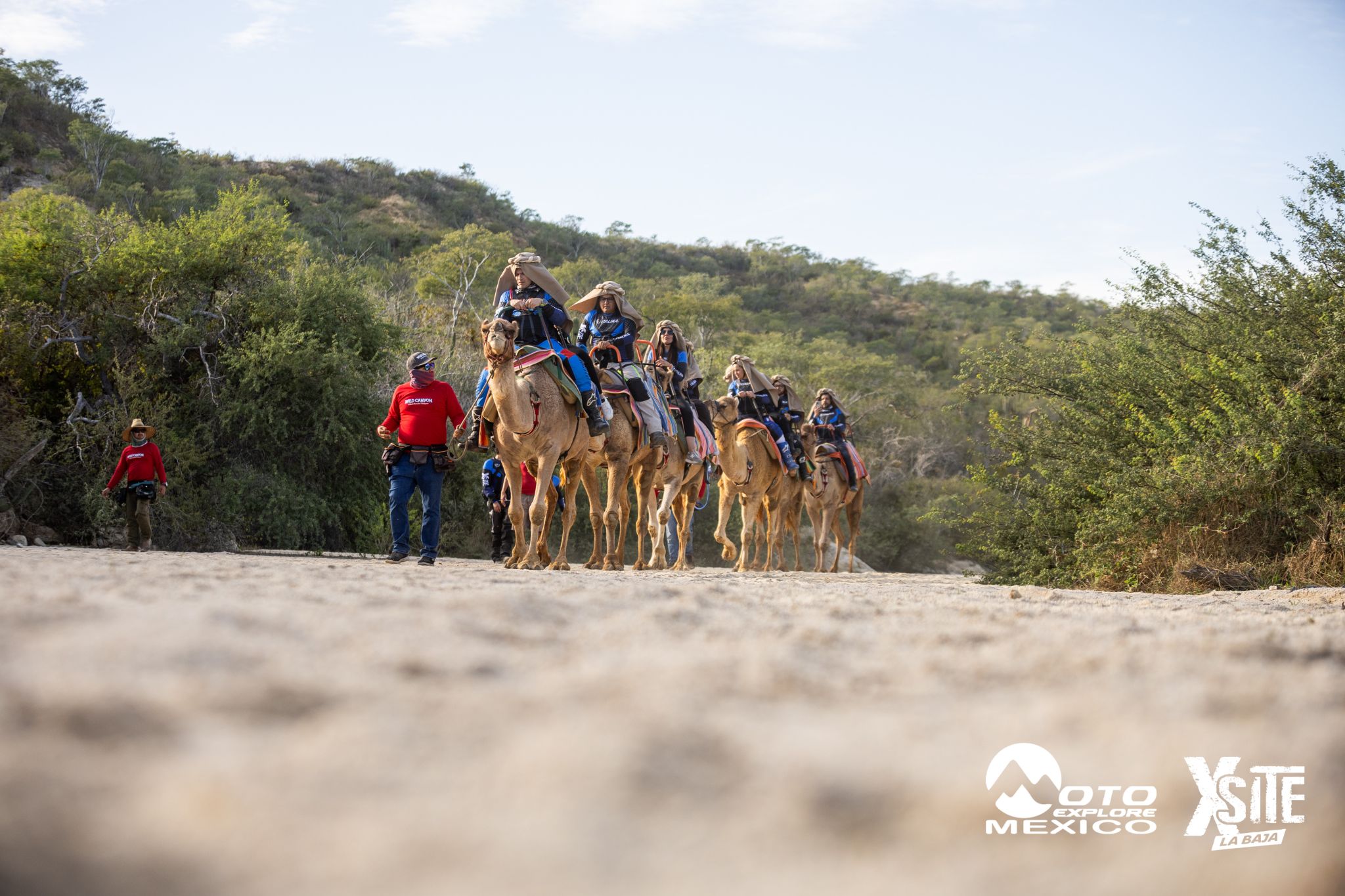 ITALIKA LA NAJA D1 561