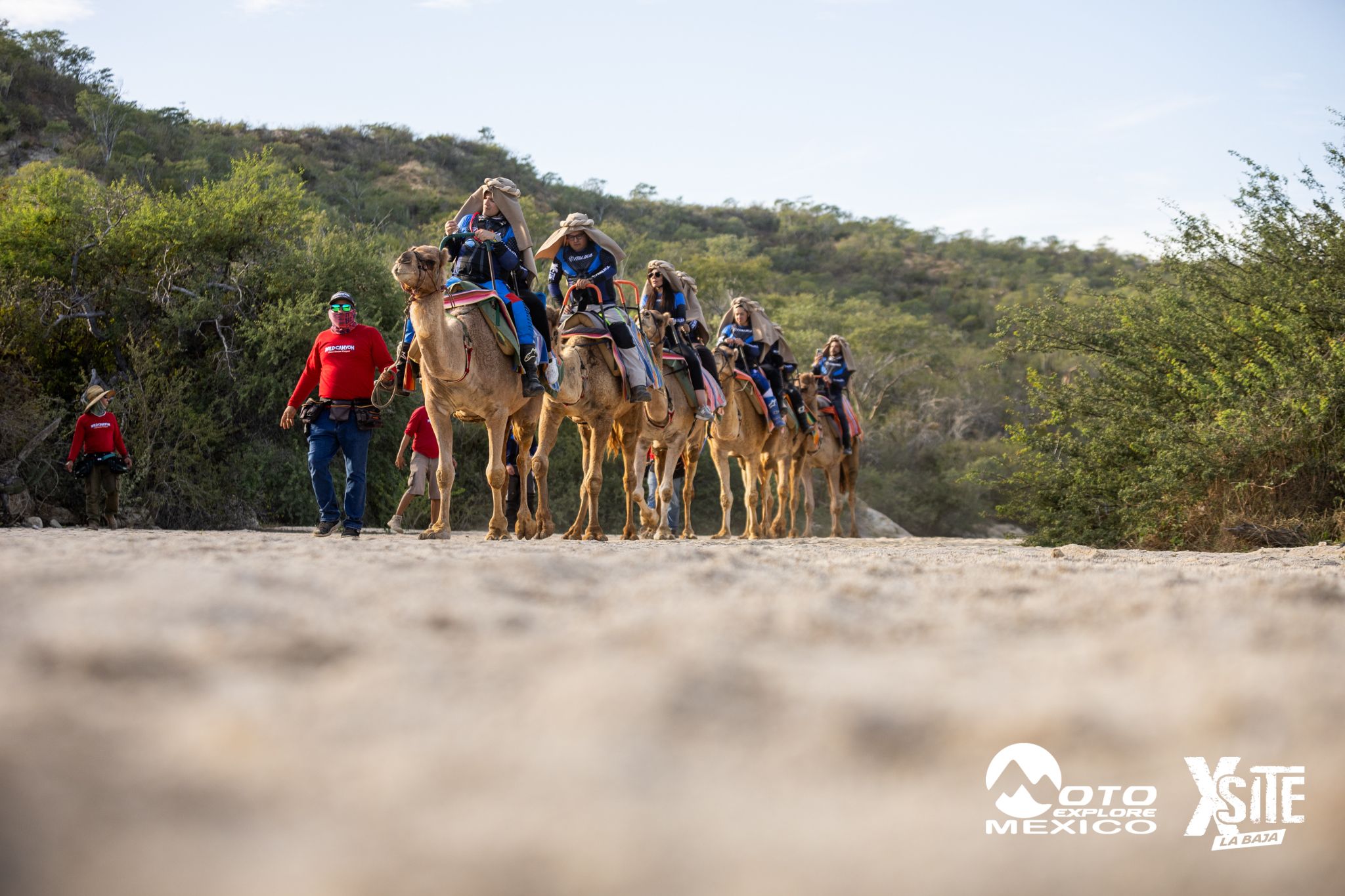 ITALIKA LA NAJA D1 562