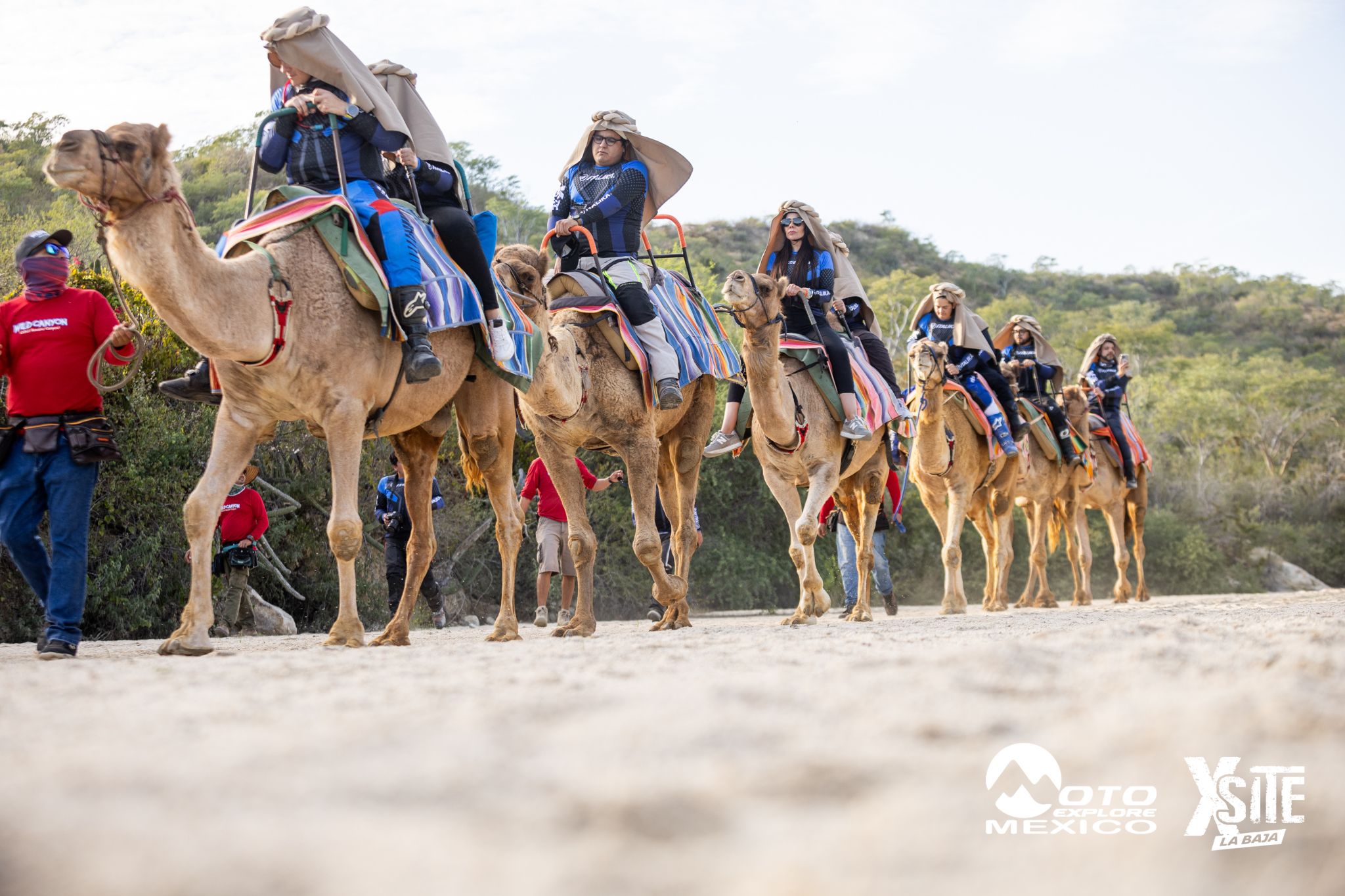 ITALIKA LA NAJA D1 565