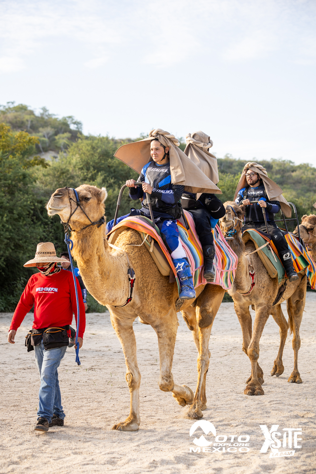 ITALIKA LA NAJA D1 571