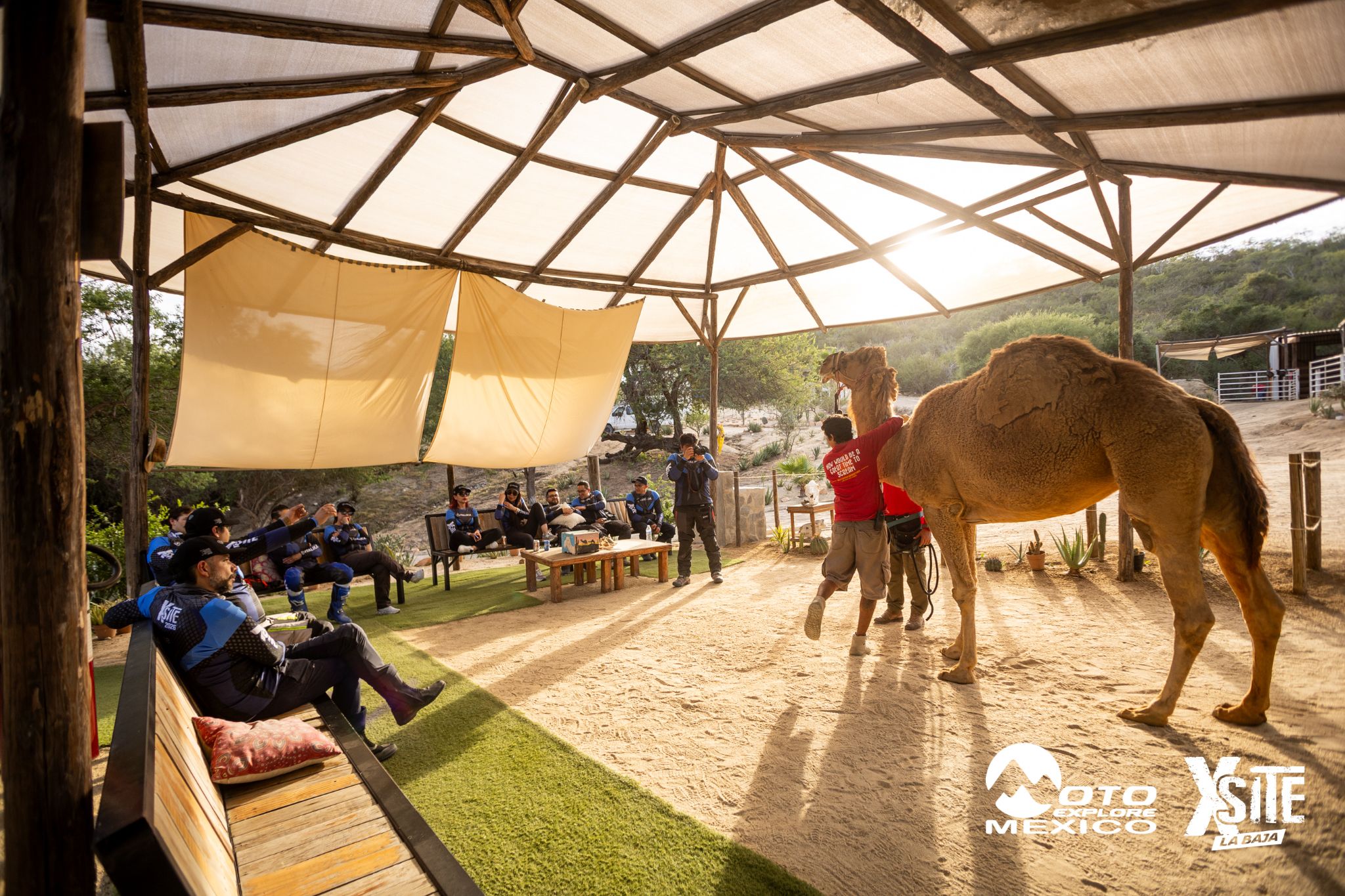 ITALIKA LA NAJA D1 577