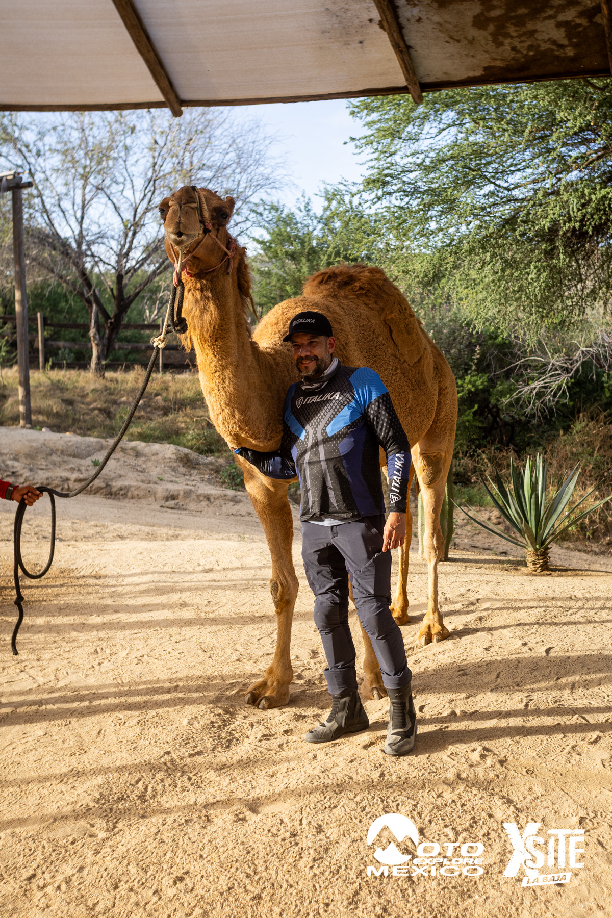 ITALIKA LA NAJA D1 579