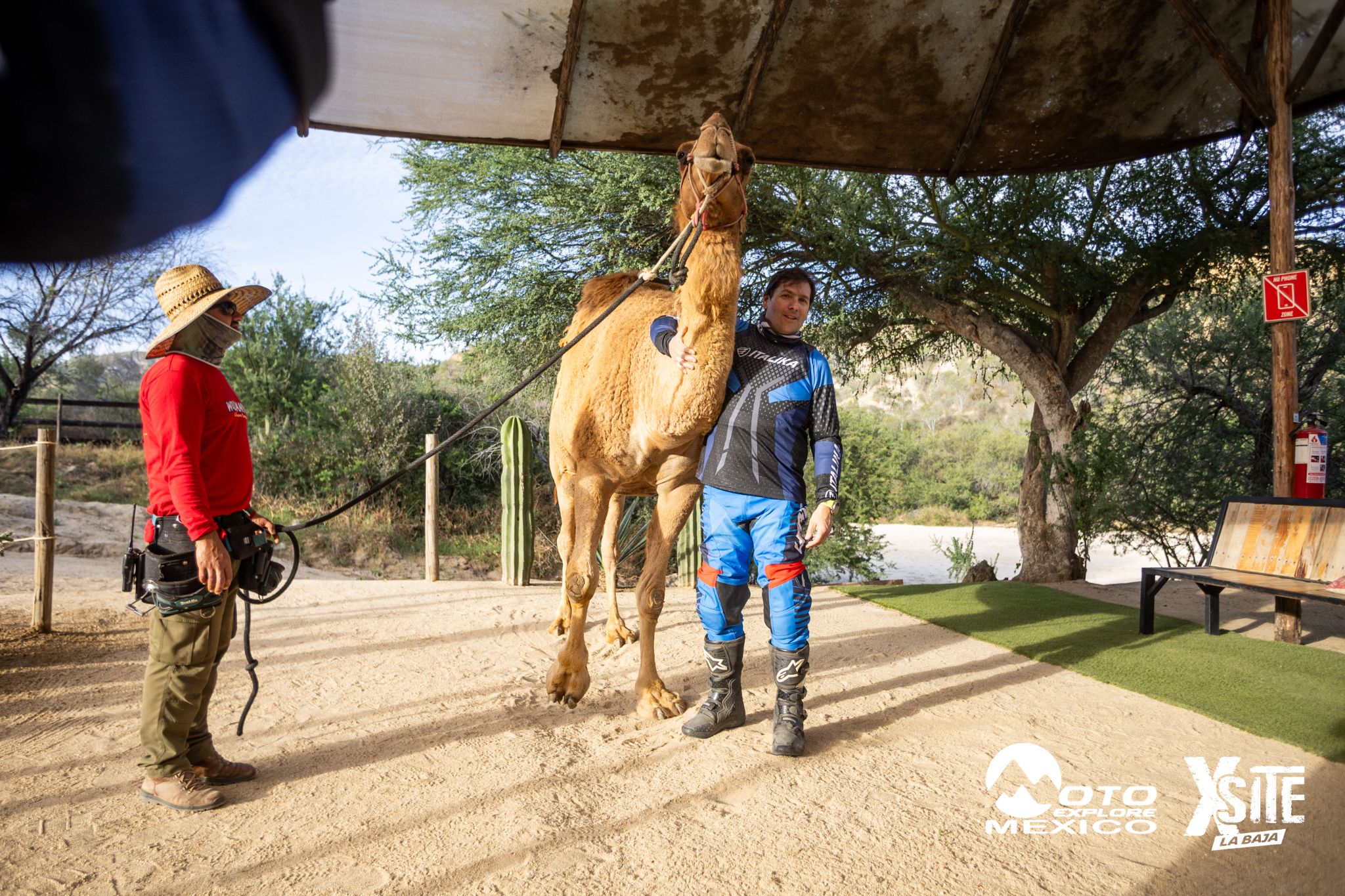 ITALIKA LA NAJA D1 582