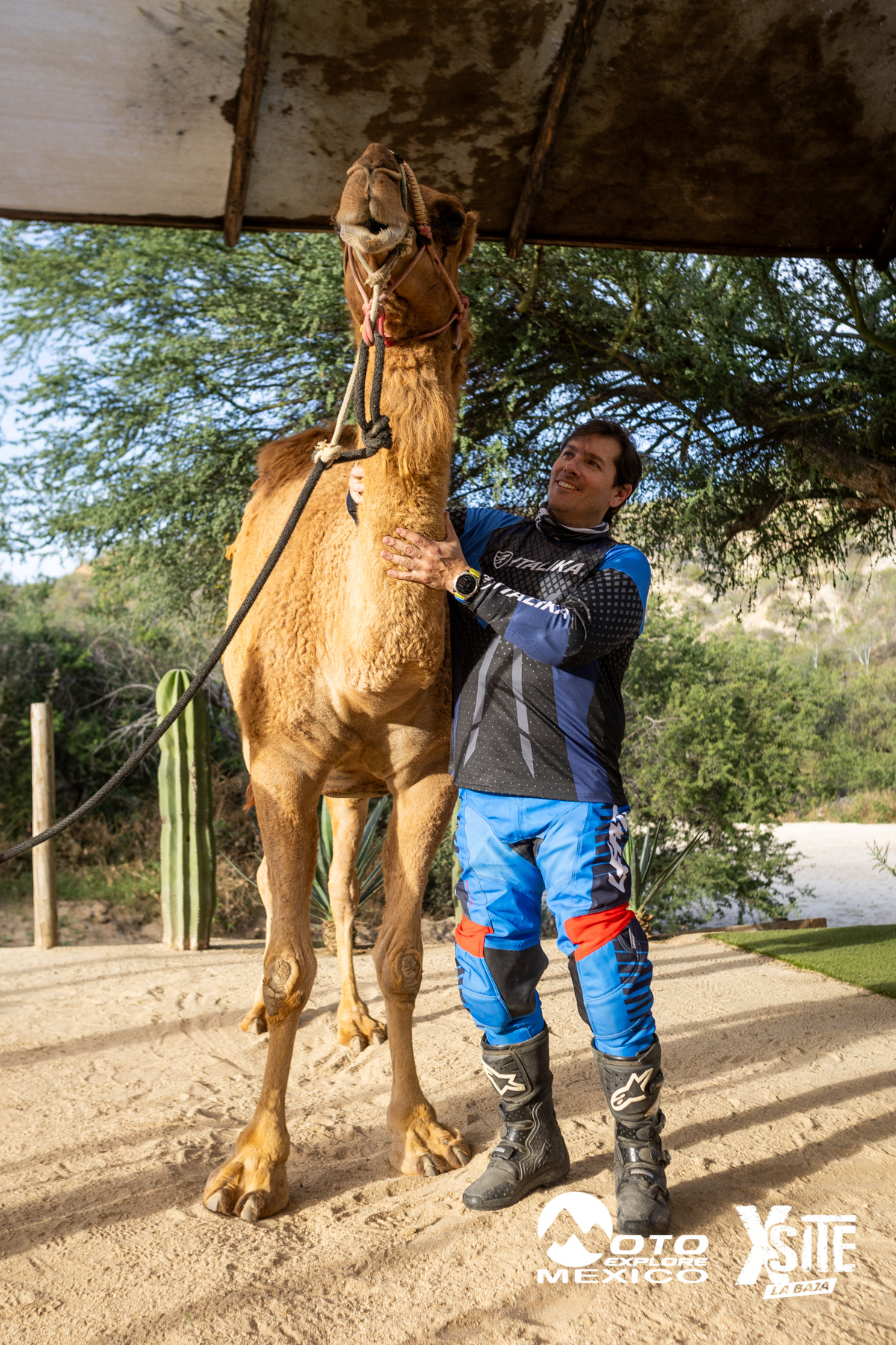 ITALIKA LA NAJA D1 583