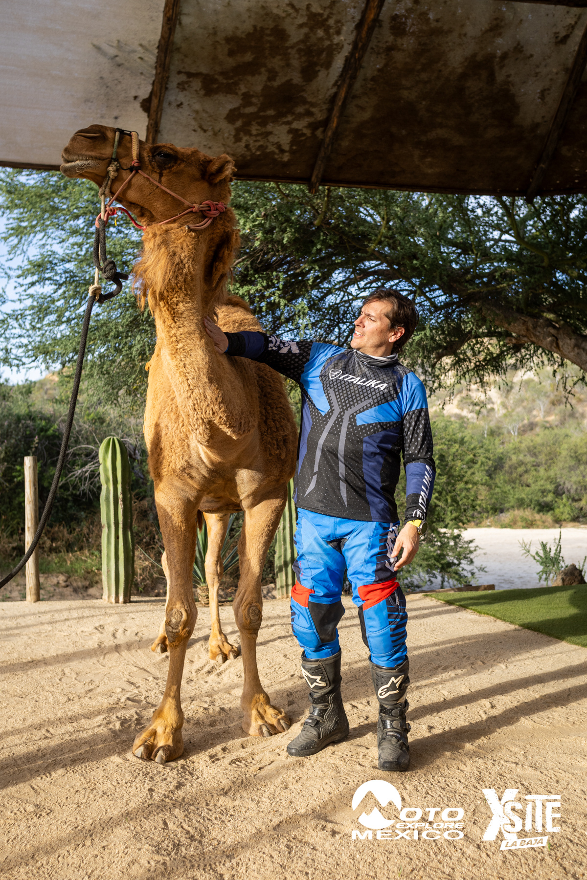 ITALIKA LA NAJA D1 584