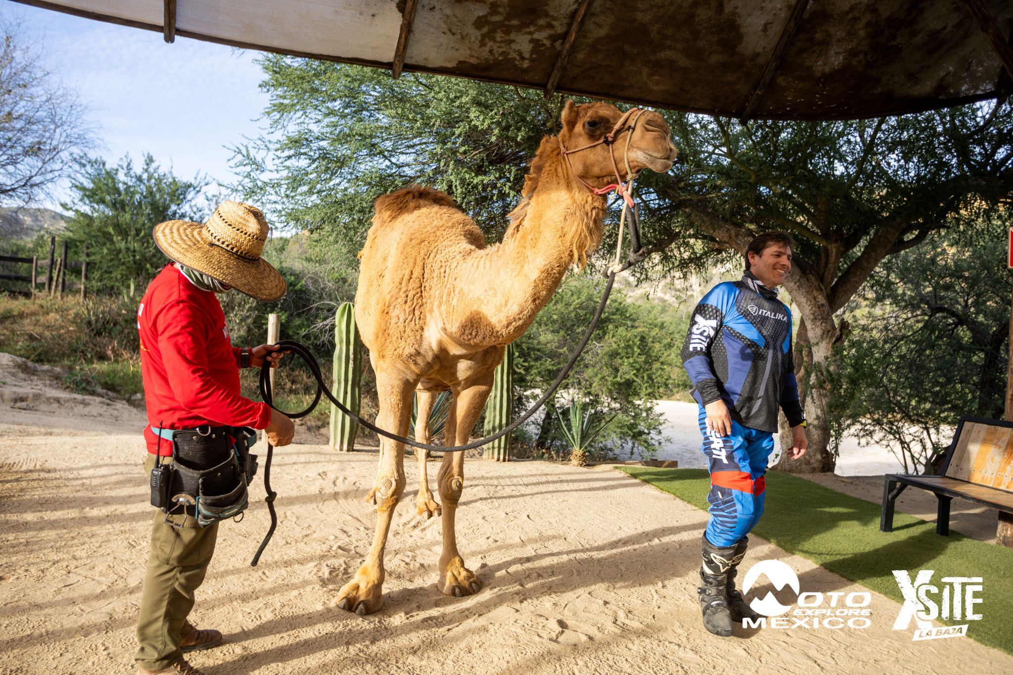 ITALIKA LA NAJA D1 588