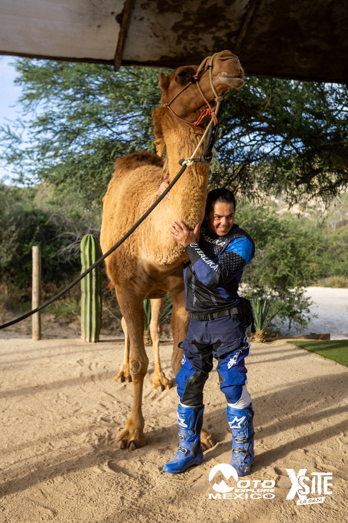 ITALIKA LA NAJA D1 589