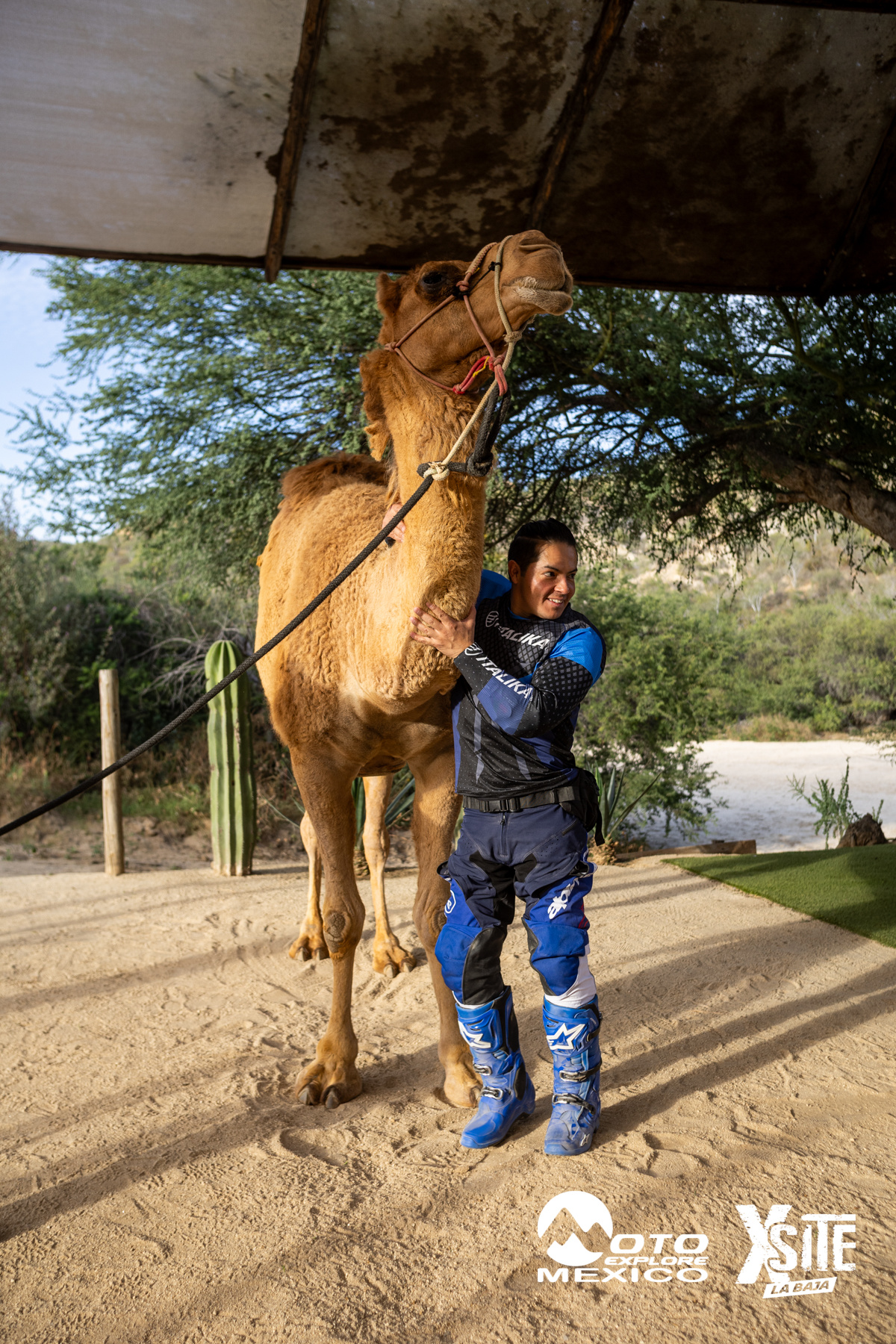 ITALIKA LA NAJA D1 590