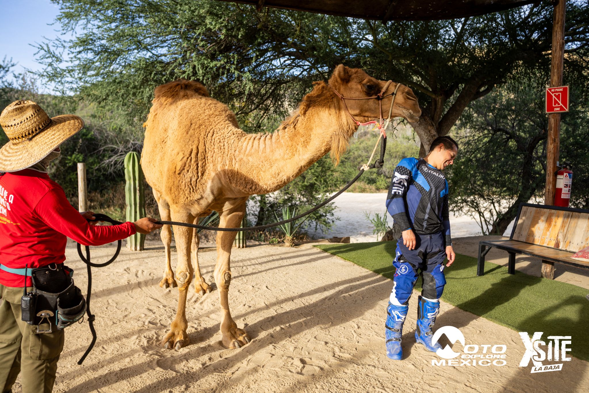 ITALIKA LA NAJA D1 592