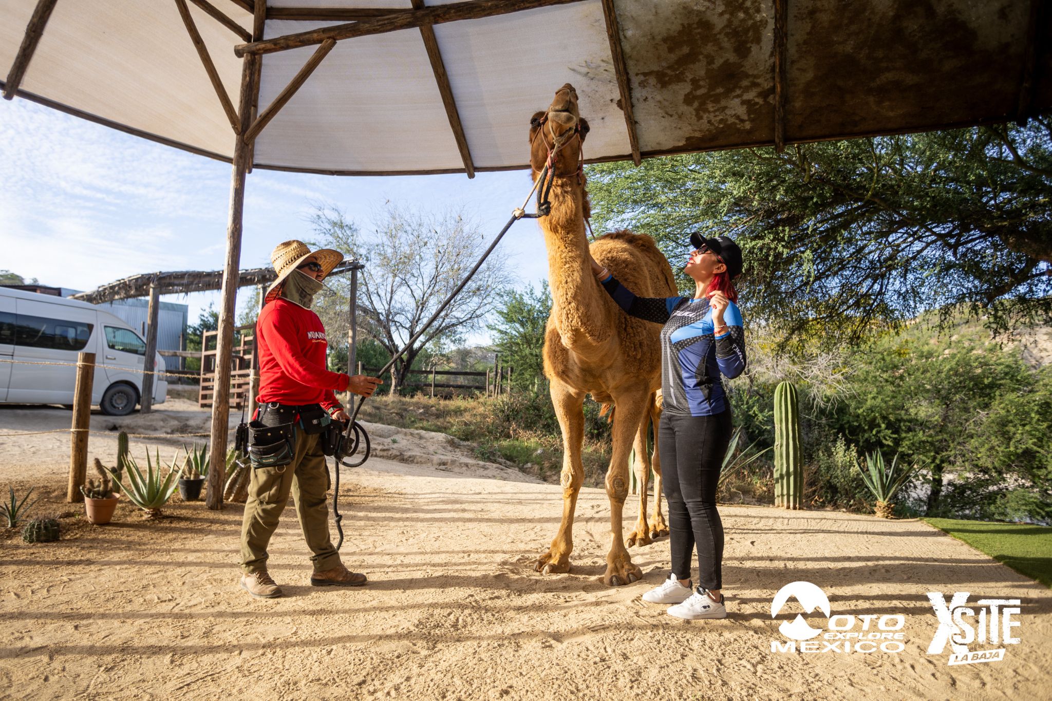 ITALIKA LA NAJA D1 597