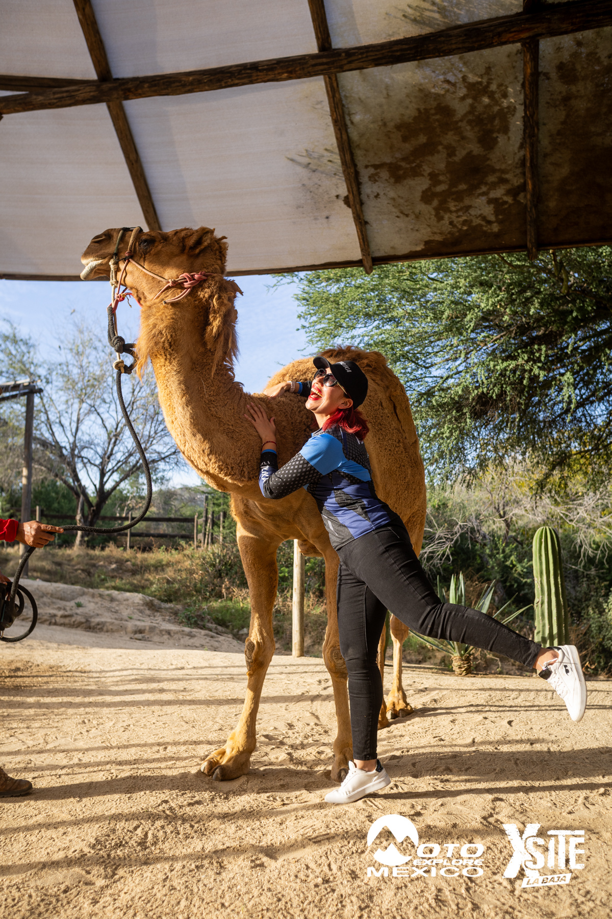 ITALIKA LA NAJA D1 599