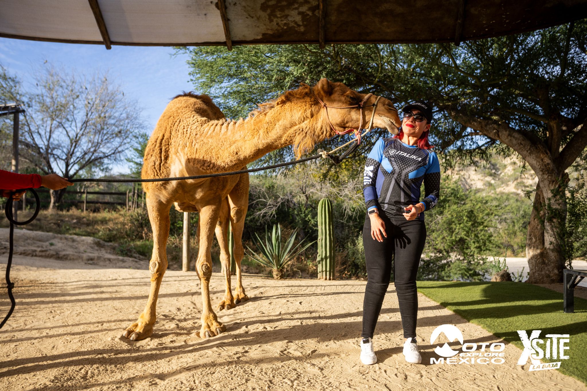 ITALIKA LA NAJA D1 601