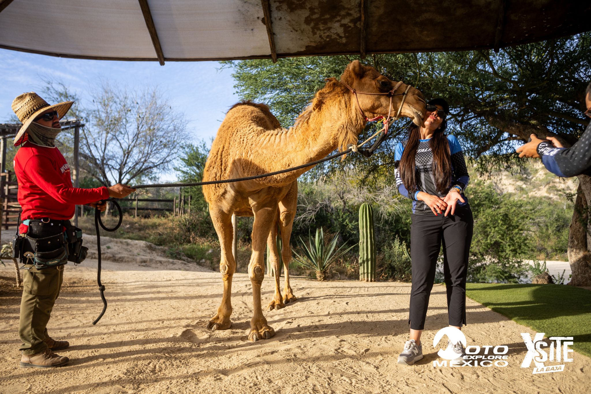 ITALIKA LA NAJA D1 603