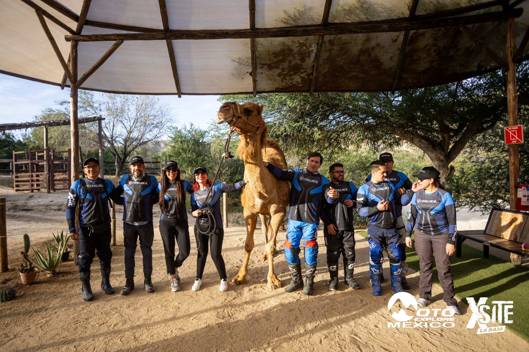 ITALIKA LA NAJA D1 605