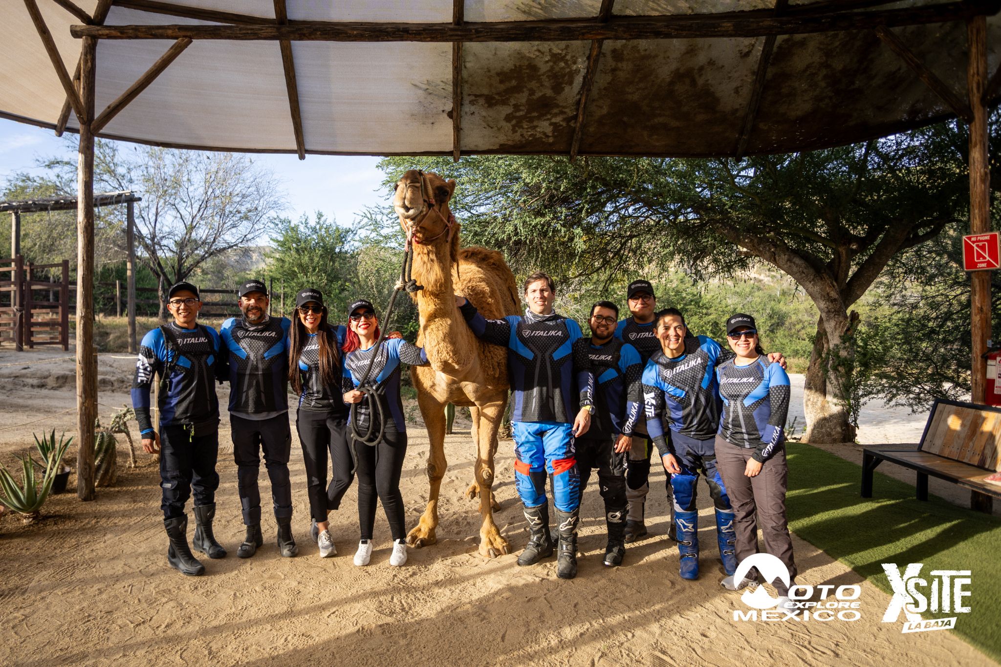 ITALIKA LA NAJA D1 606