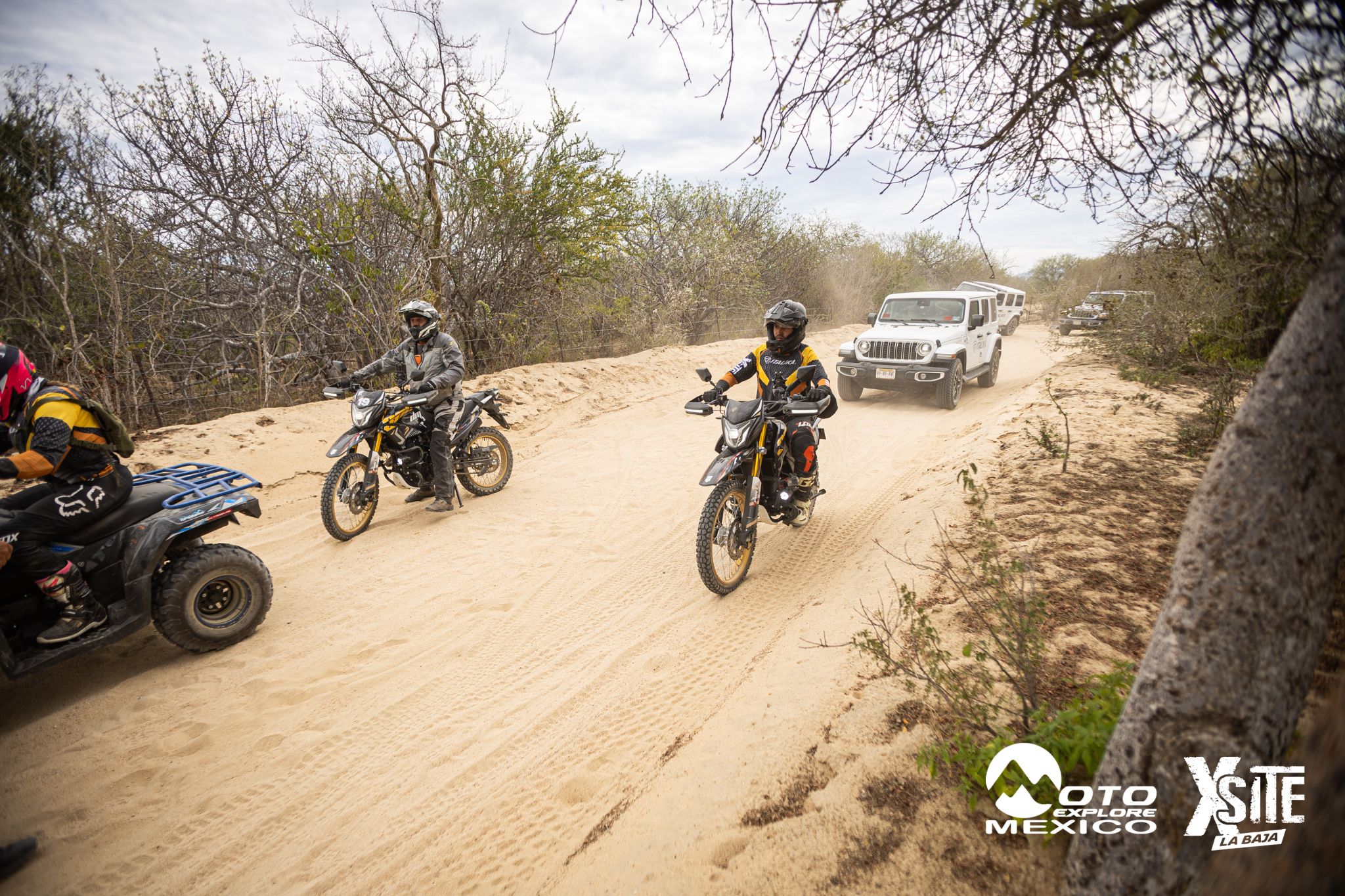 ITALIKA LA NAJA D2 214