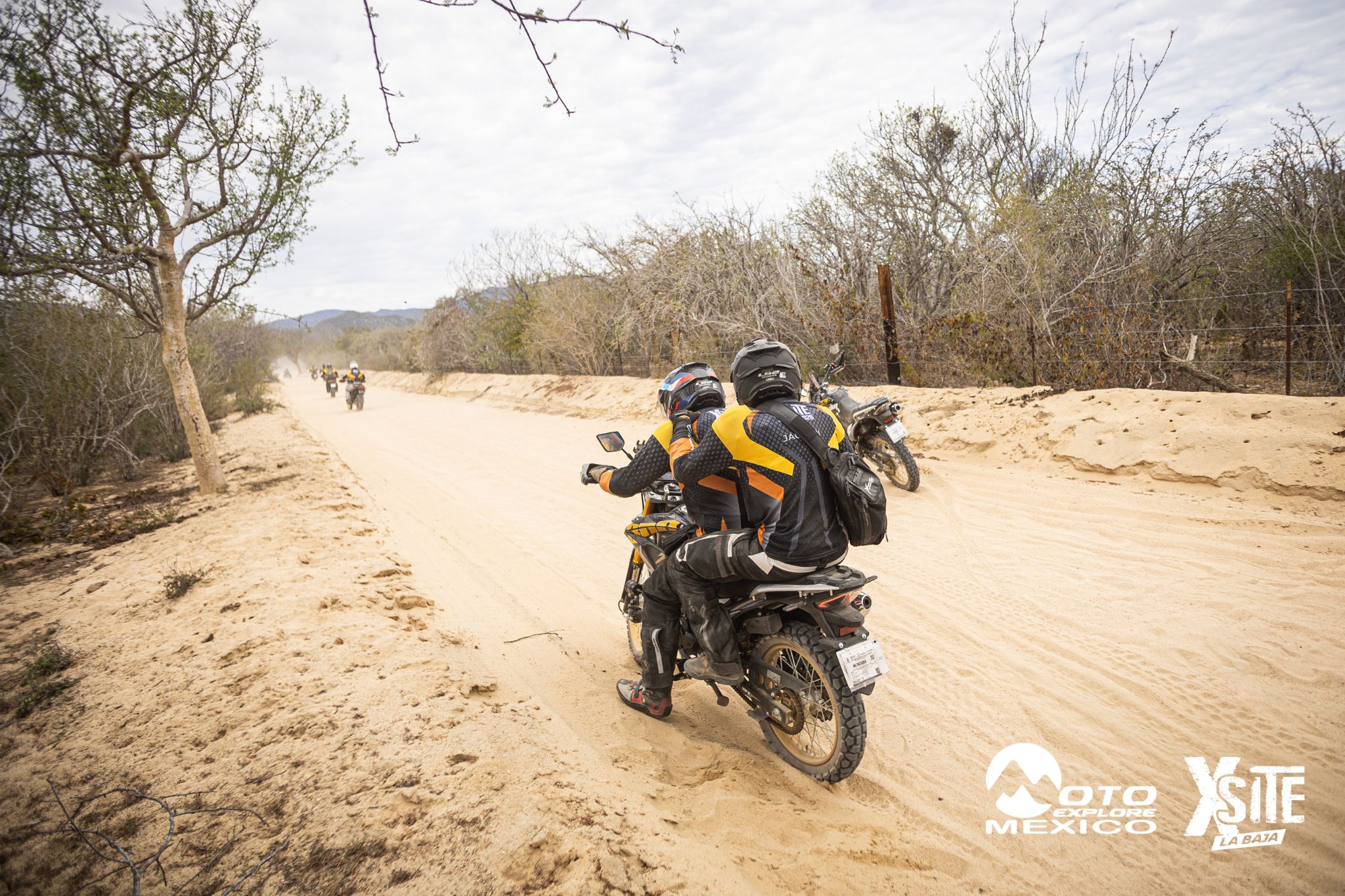 ITALIKA LA NAJA D2 217