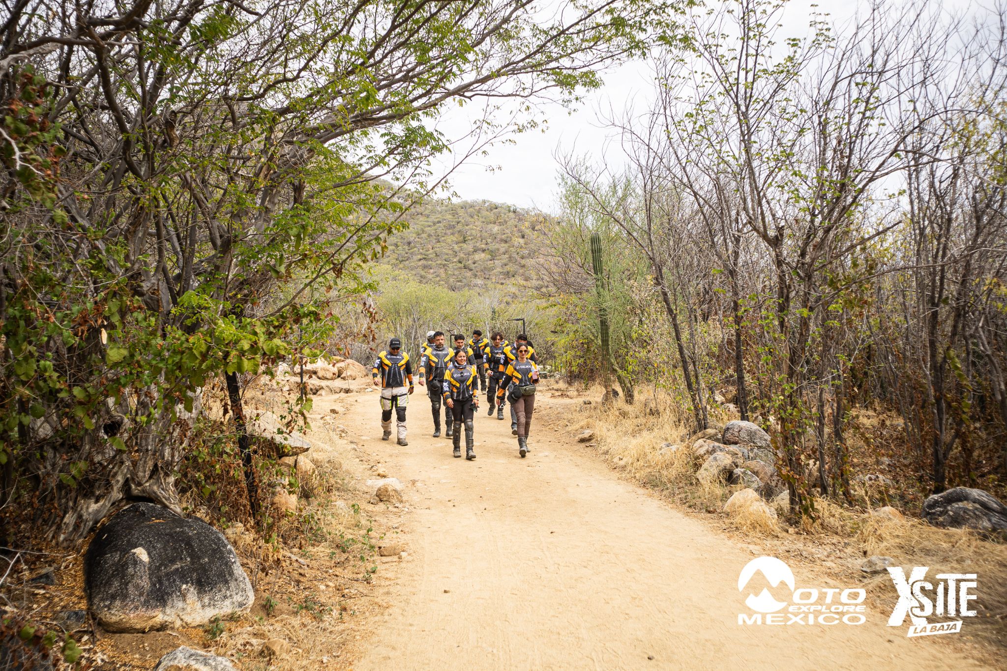 ITALIKA LA NAJA D2 229