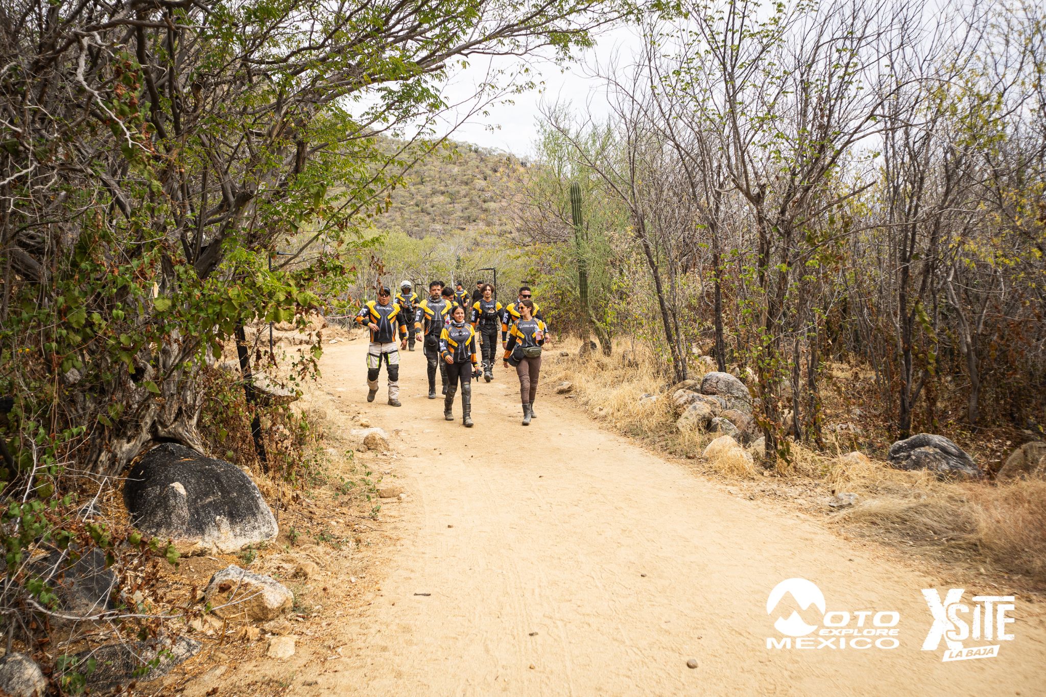 ITALIKA LA NAJA D2 230