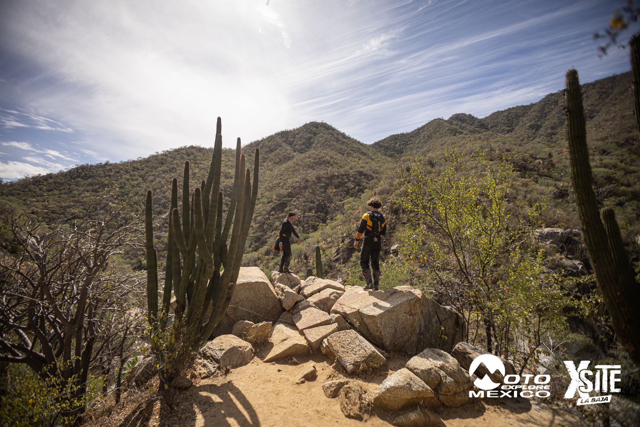 ITALIKA LA NAJA D2 252