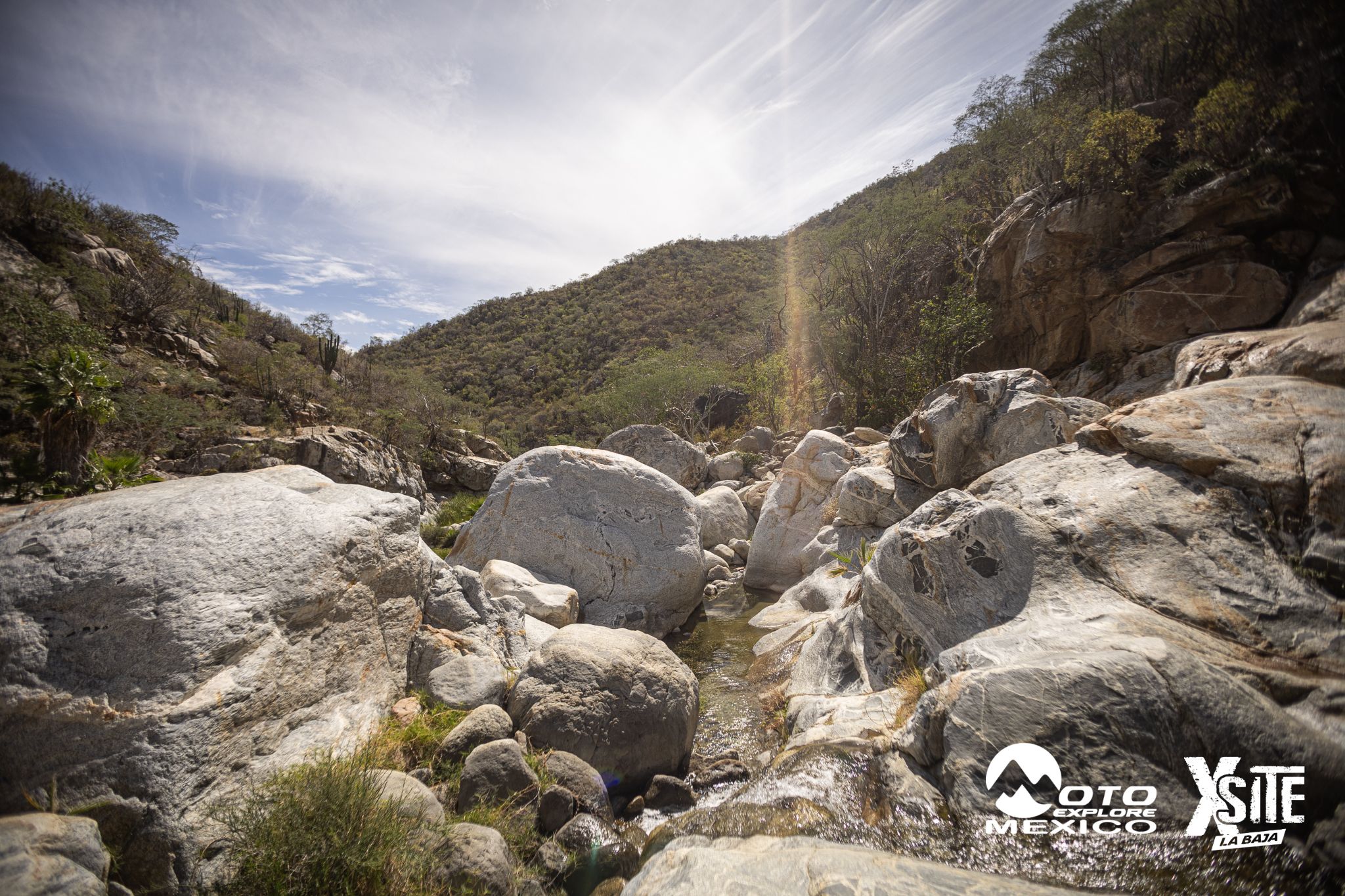 ITALIKA LA NAJA D2 260