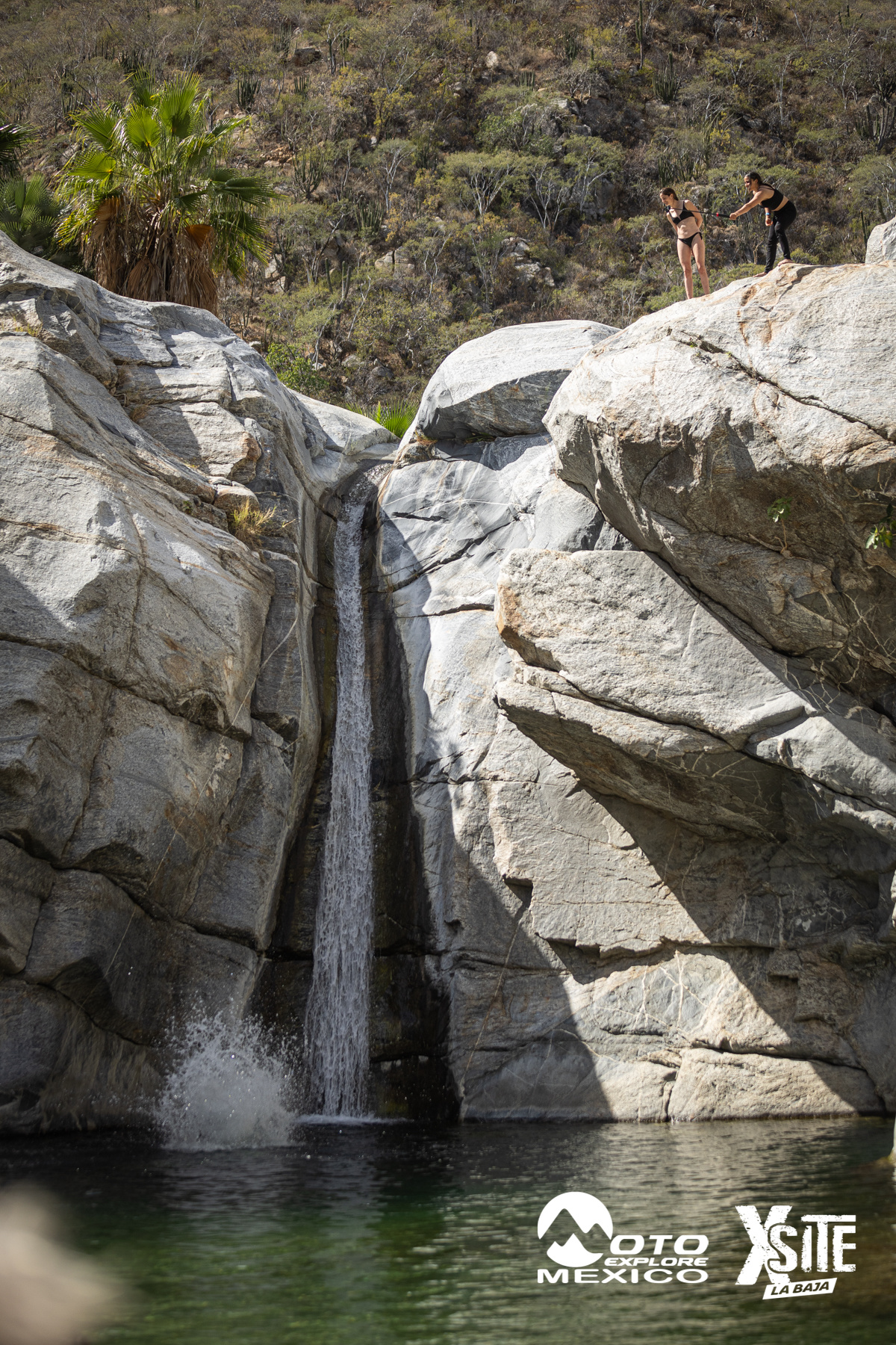 ITALIKA LA NAJA D2 291